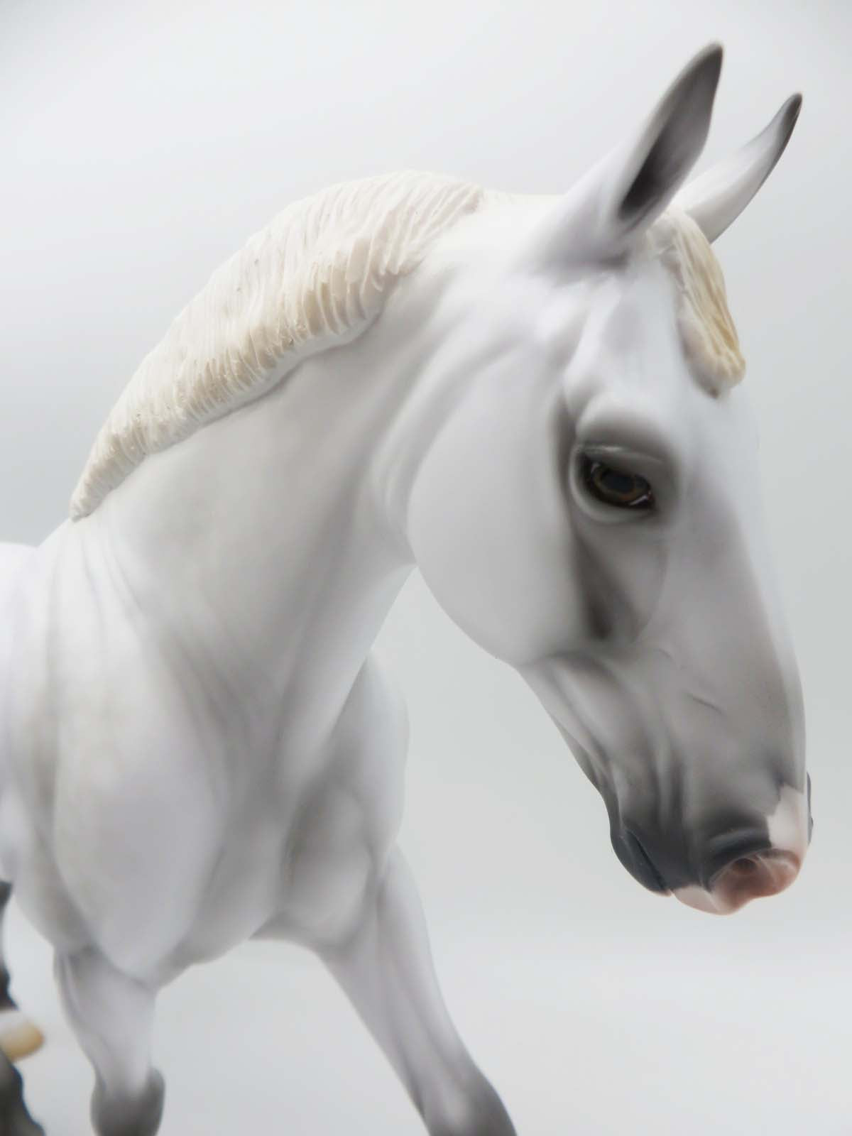 Cowboy Prince OOAK Light Dapple Grey Irish Draft by Ashley Palmer SHCF23