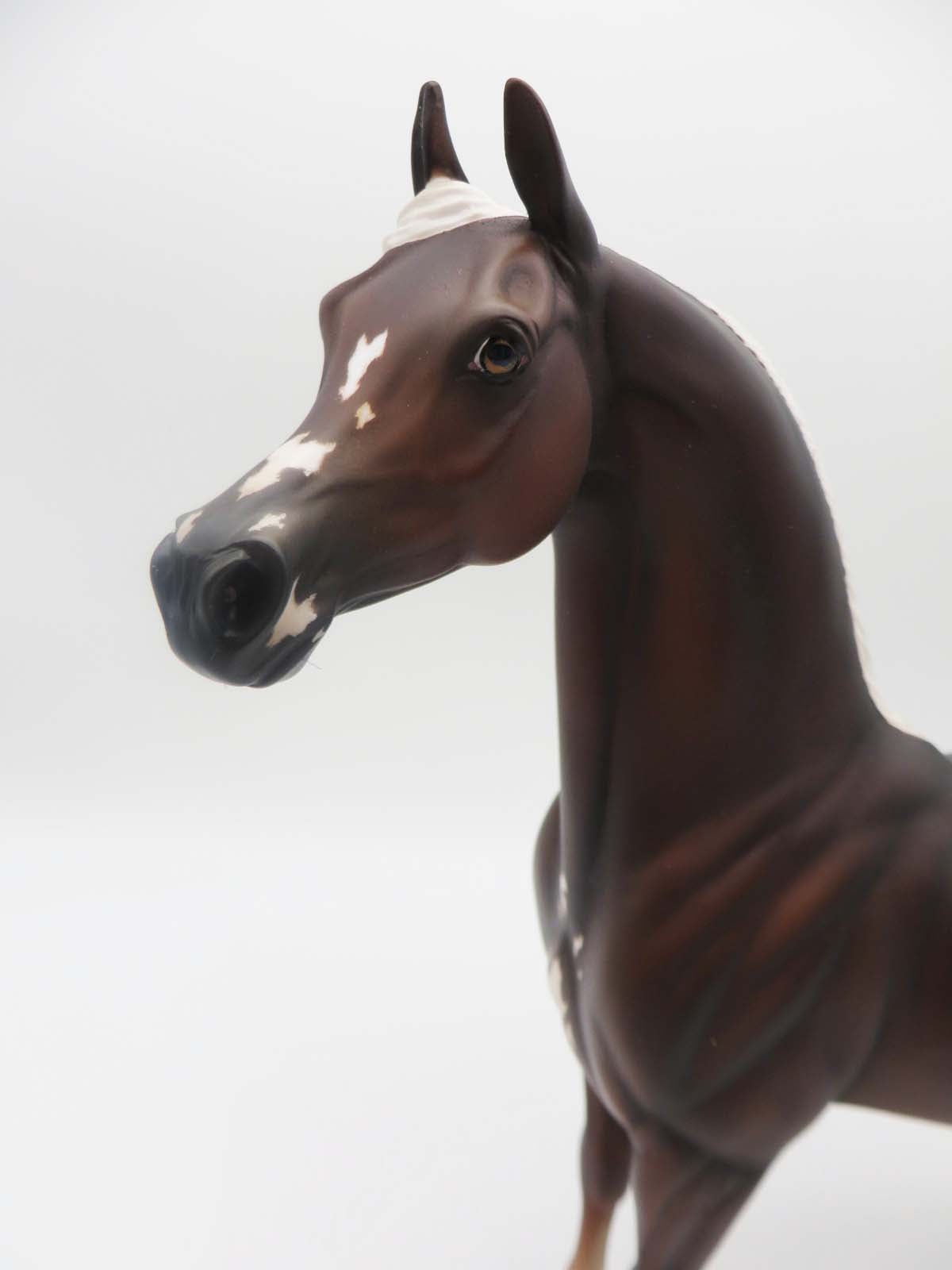 Crest - OOAK - Liver Chestnut Arabian By Jess Hamill - P&amp;C 23