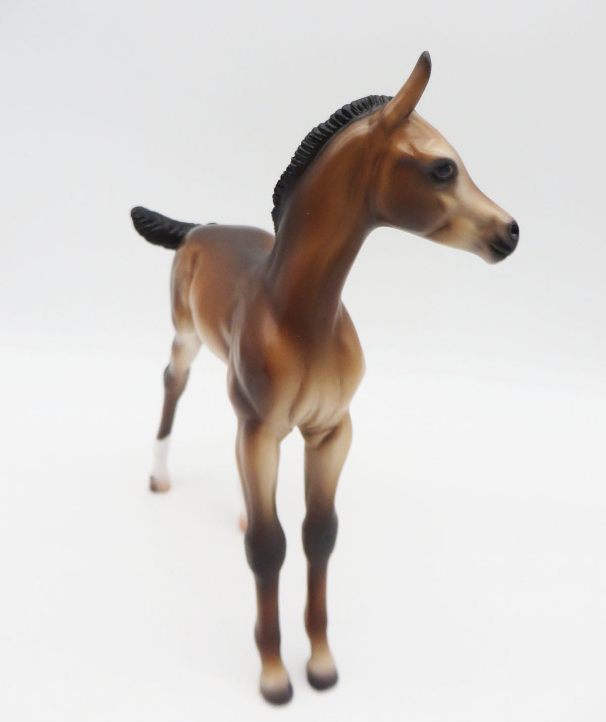 Cricket - OOAK Bay Arab Foal By Caroline Boydston 11/28/22