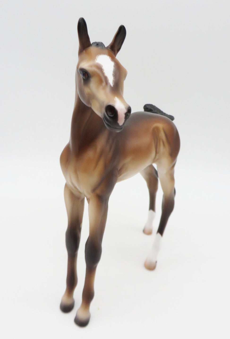 Cricket - OOAK Bay Arab Foal By Caroline Boydston 11/28/22