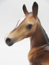 Cricket - OOAK Bay Arab Foal By Caroline Boydston 11/28/22