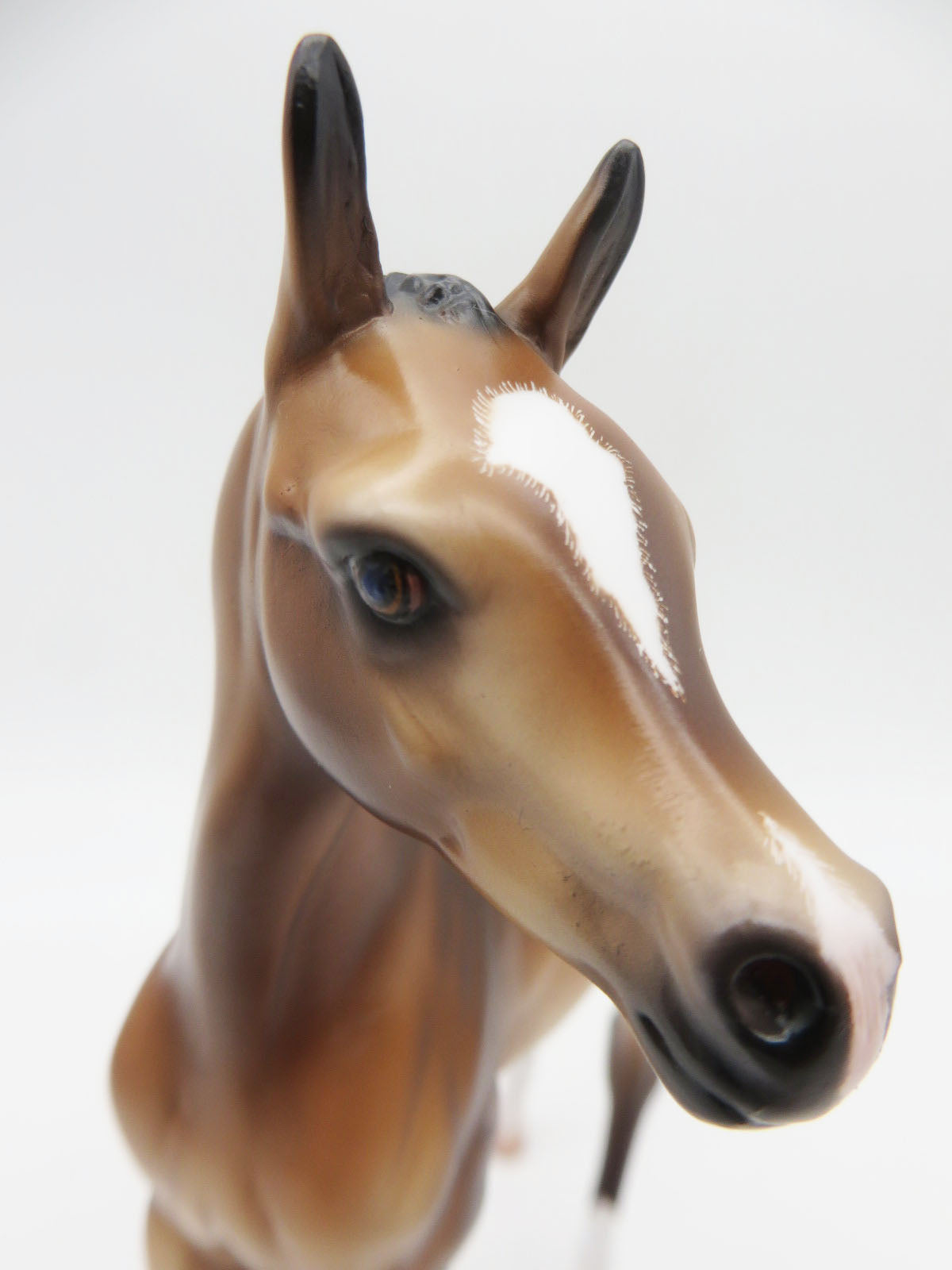 Cricket - OOAK Bay Arab Foal By Caroline Boydston 11/28/22