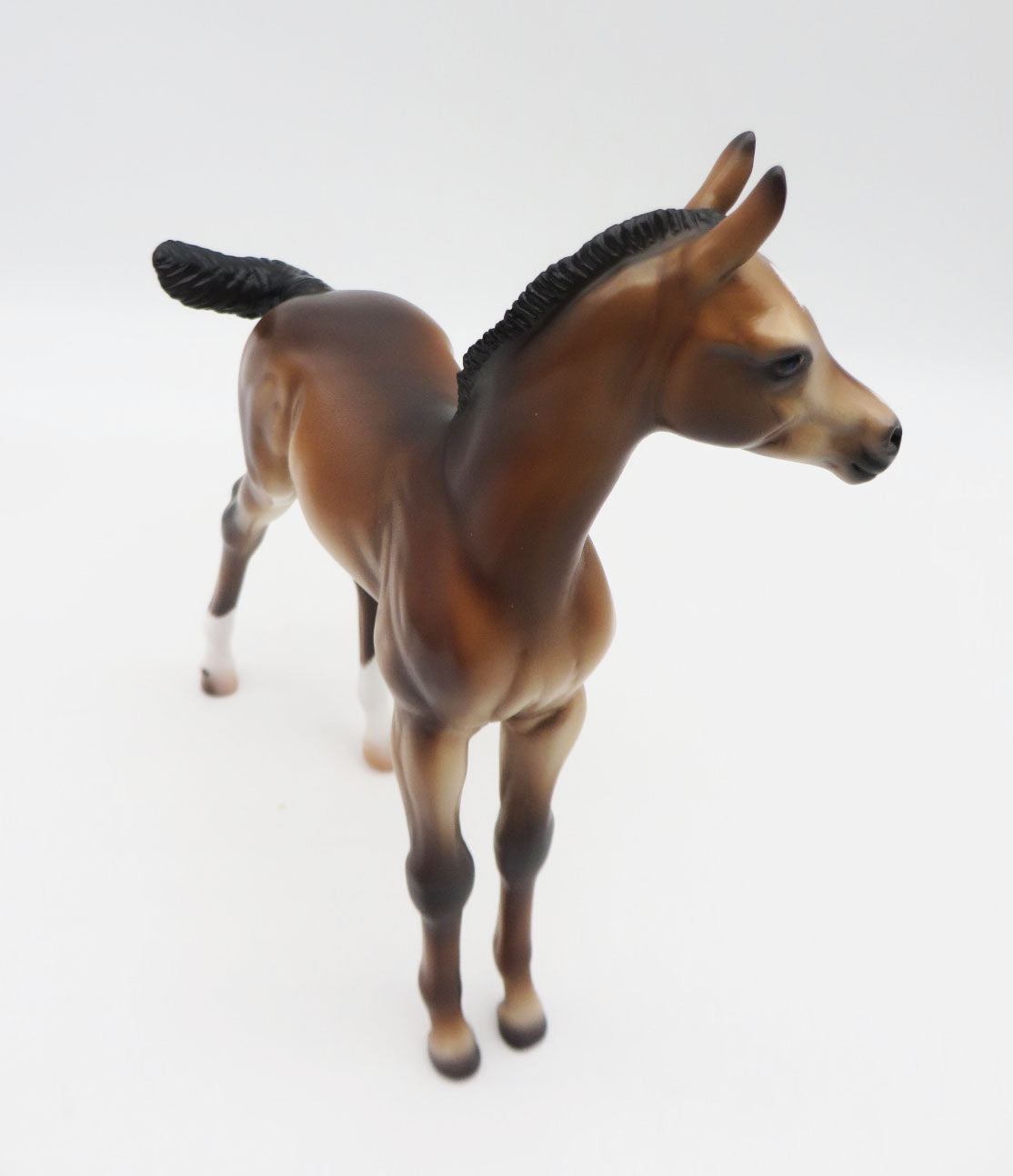 Cricket - OOAK Bay Arab Foal By Caroline Boydston 11/28/22