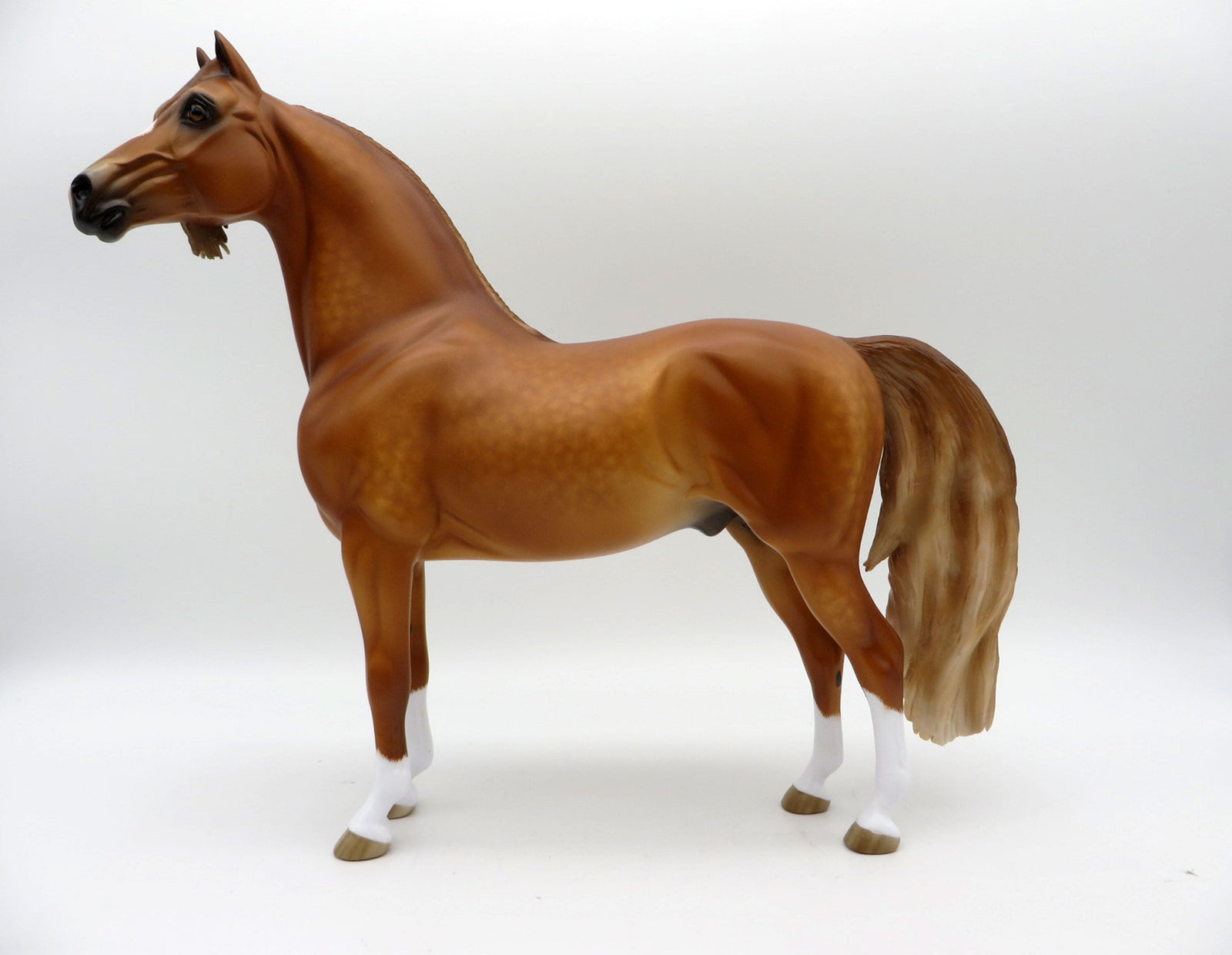 Crimson and Clover- OOAK Dapple Chestnut Morgan Painted by Sheryl Leisure MM21