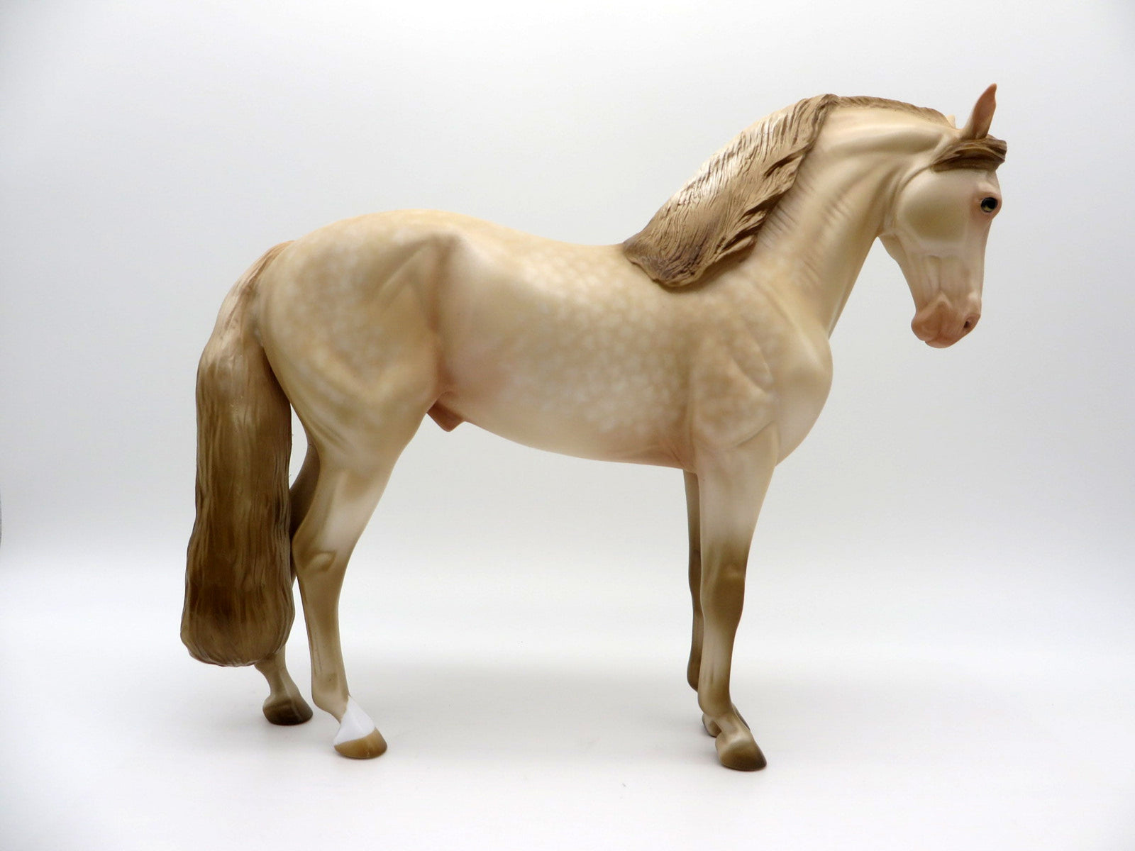 Crina-OOAK Champagne Andalusian SHCH 2021