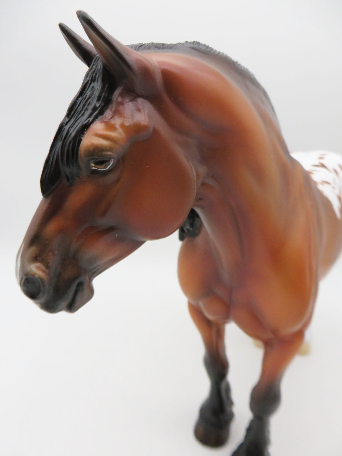 Cser - OOAK - Bay Blanket Appy Heavy Draft By Ellen Robbins - Best Offers 2/6/23