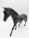 Custard - OOAK - Dapple Black Pony By Jess Hamill - CT22