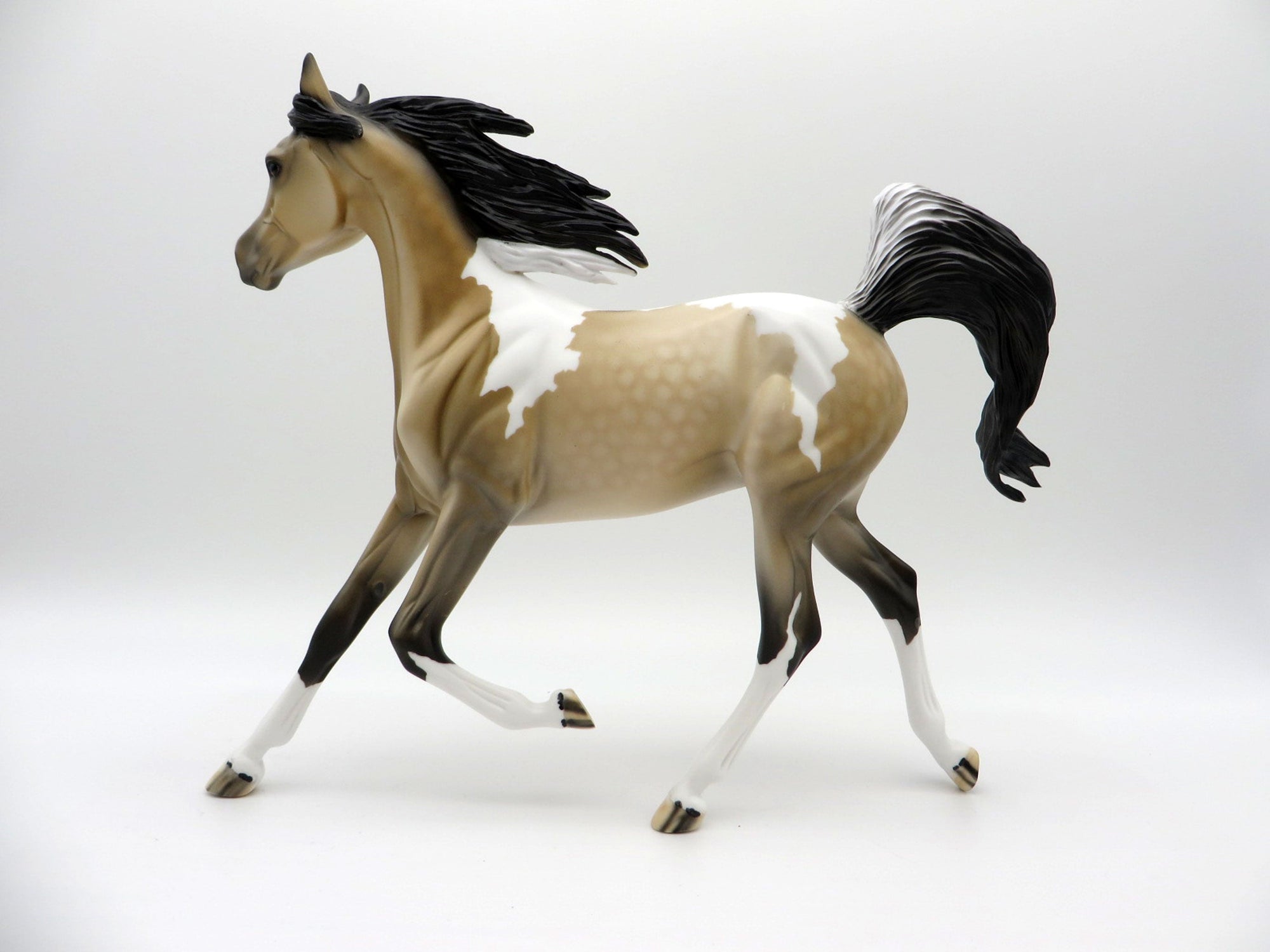 Cyclone-OOAK Buckskin Paint Yearling  SHCF 2021
