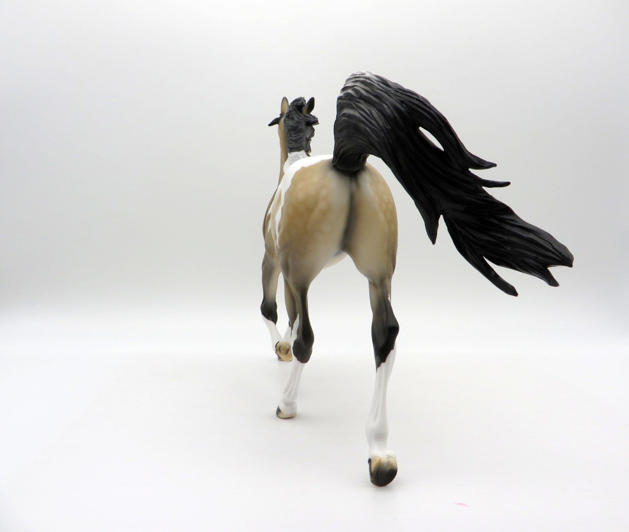 Cyclone-OOAK Buckskin Paint Yearling  SHCF 2021