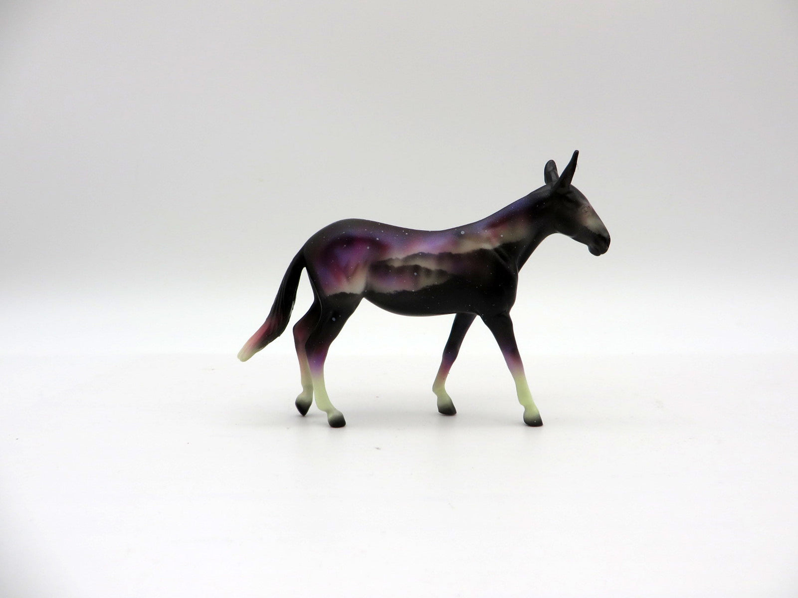 Northern Lights Chip DAH Special