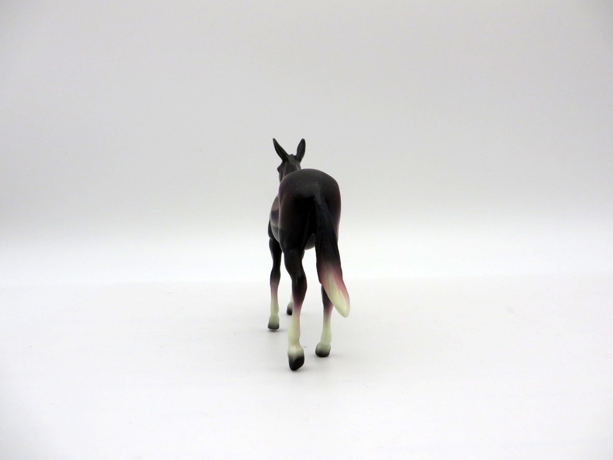 Northern Lights Chip DAH Special