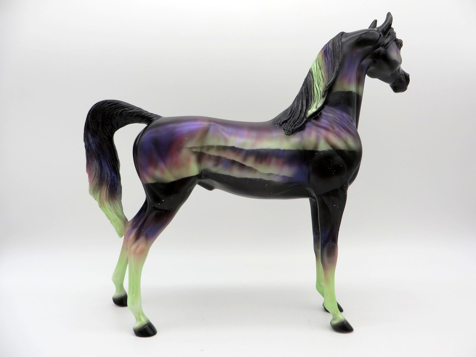 Northern Light&#39;s DAH Special