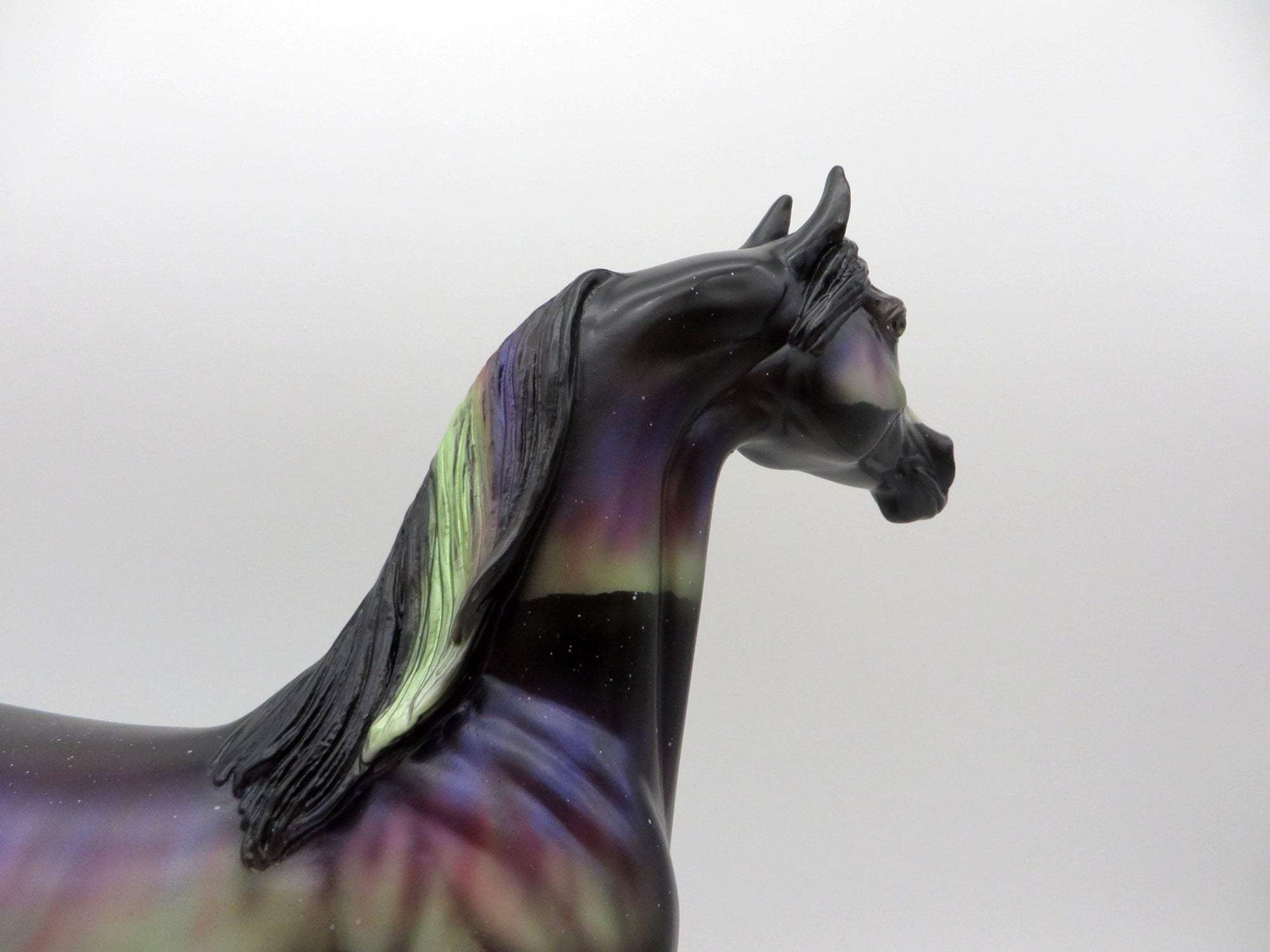 Northern Light&#39;s DAH Special