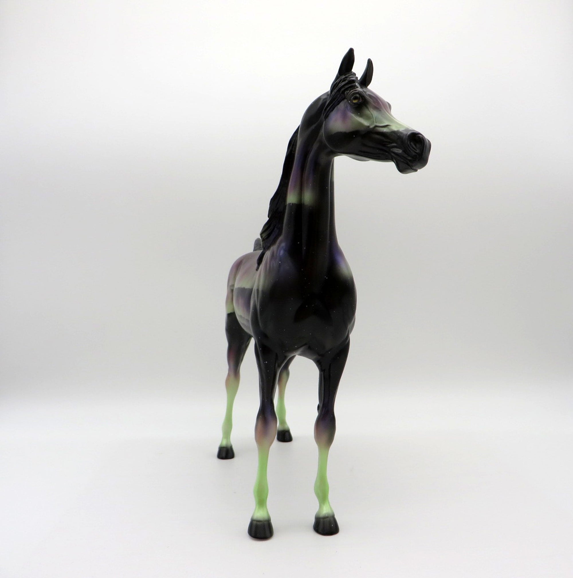 Northern Light&#39;s DAH Special