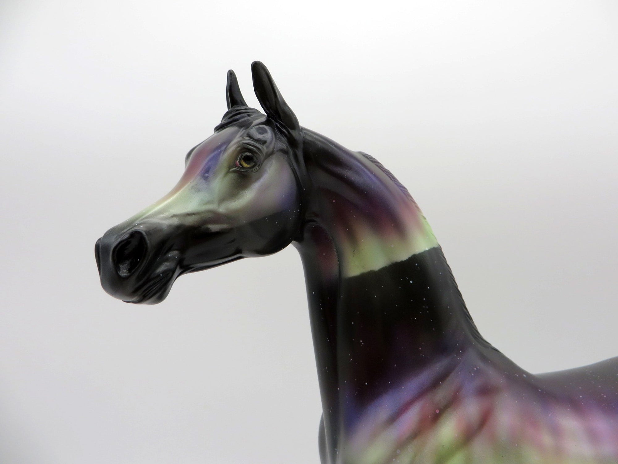 Northern Light&#39;s DAH Special