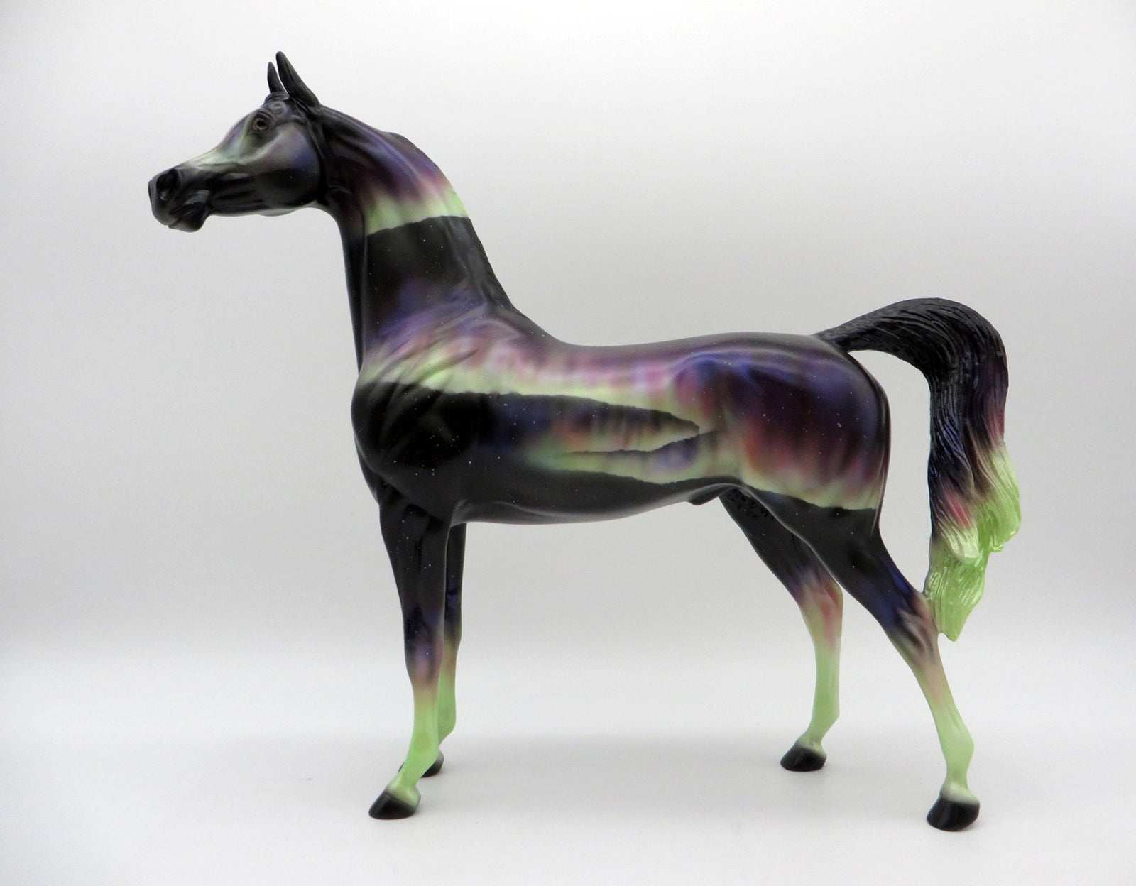 Northern Light's DAH Special