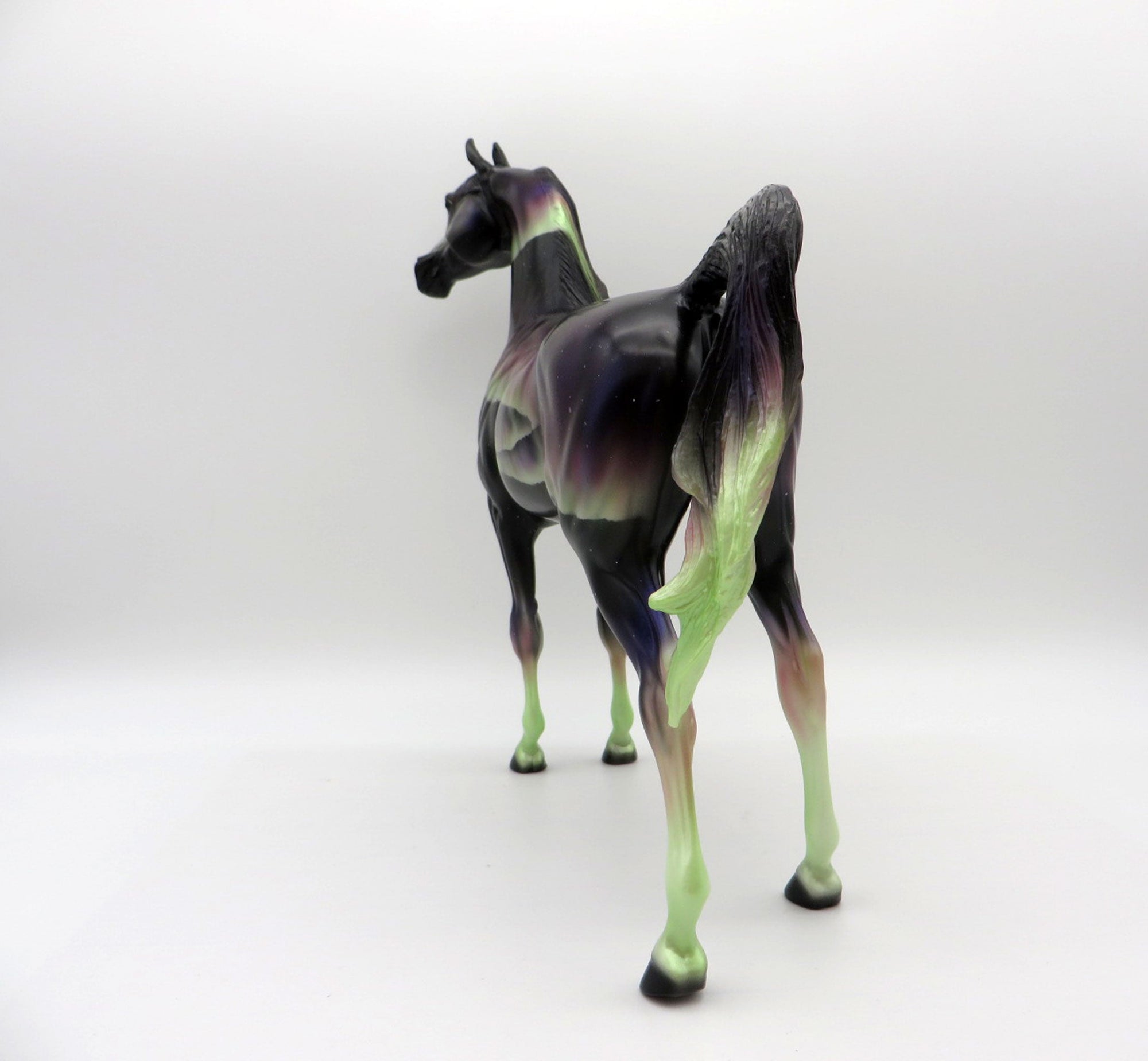 Northern Light&#39;s DAH Special