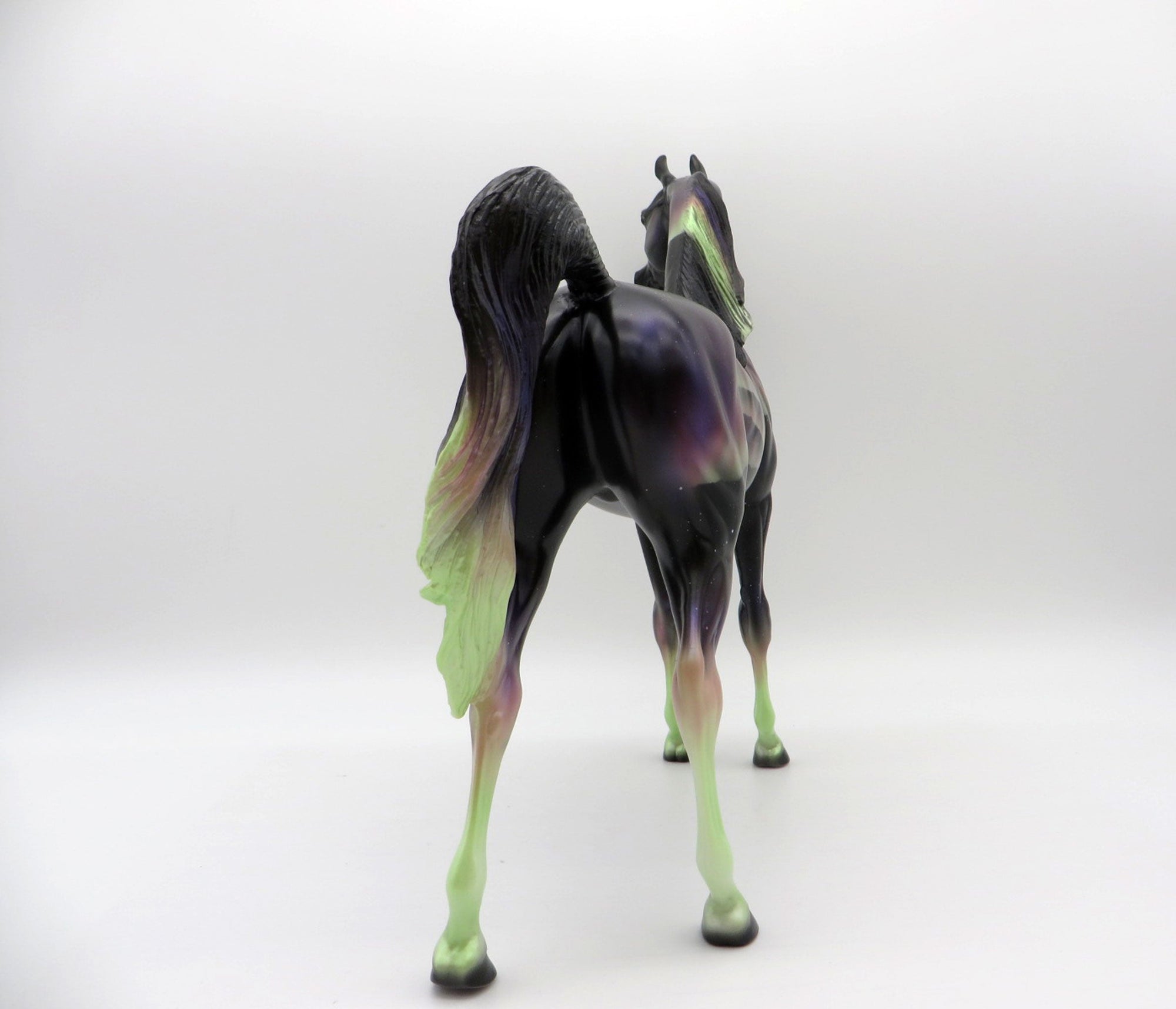 Northern Light&#39;s DAH Special