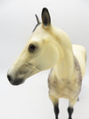 Dapple Jack - OOAK - Sooty Buckskin Halloween Decorator Ideal Stock Horse Painted By Ellen Robbins - MM22