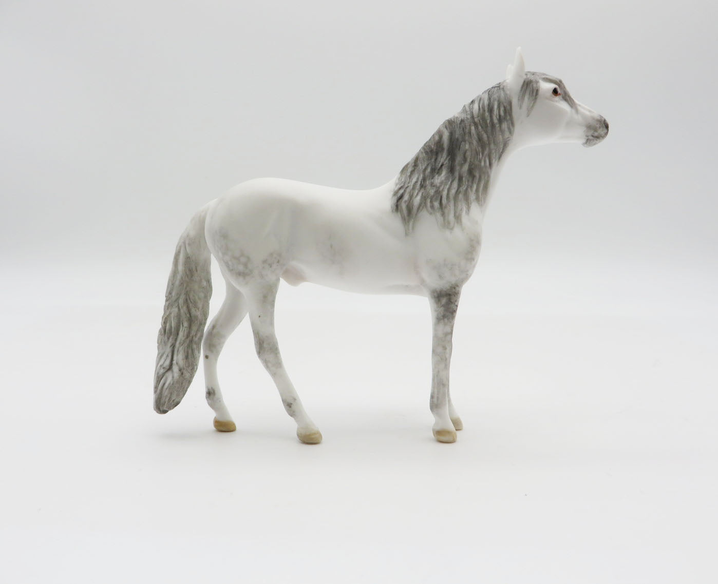 DENALI - OOAK Dapple Grey Andalusian Chip LHS 22