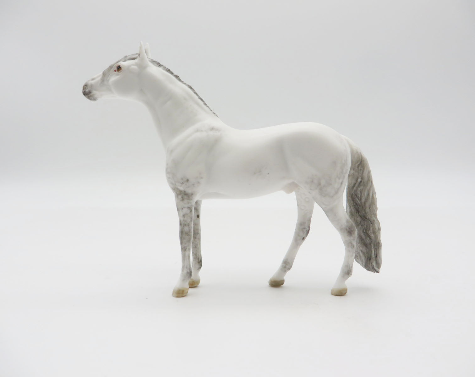 DENALI - OOAK Dapple Grey Andalusian Chip LHS 22