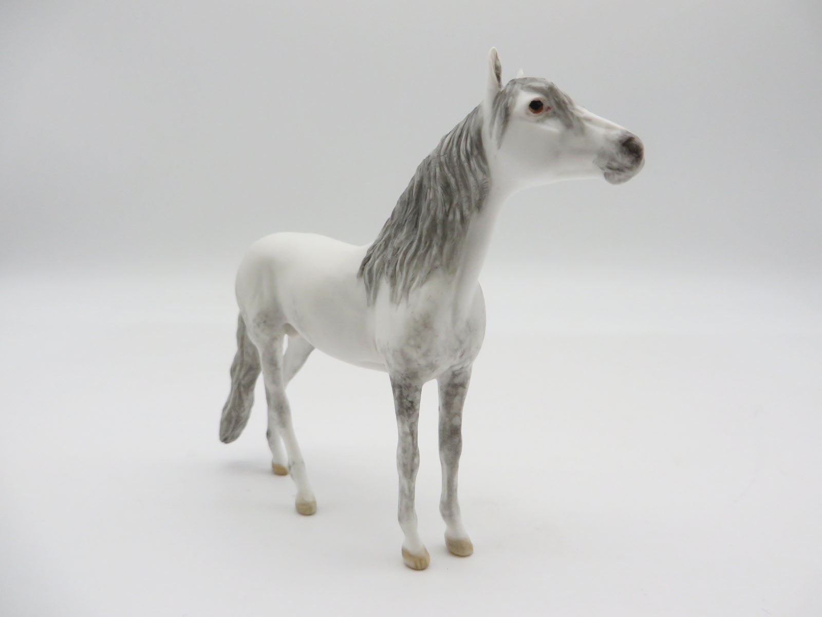 DENALI - OOAK Dapple Grey Andalusian Chip LHS 22