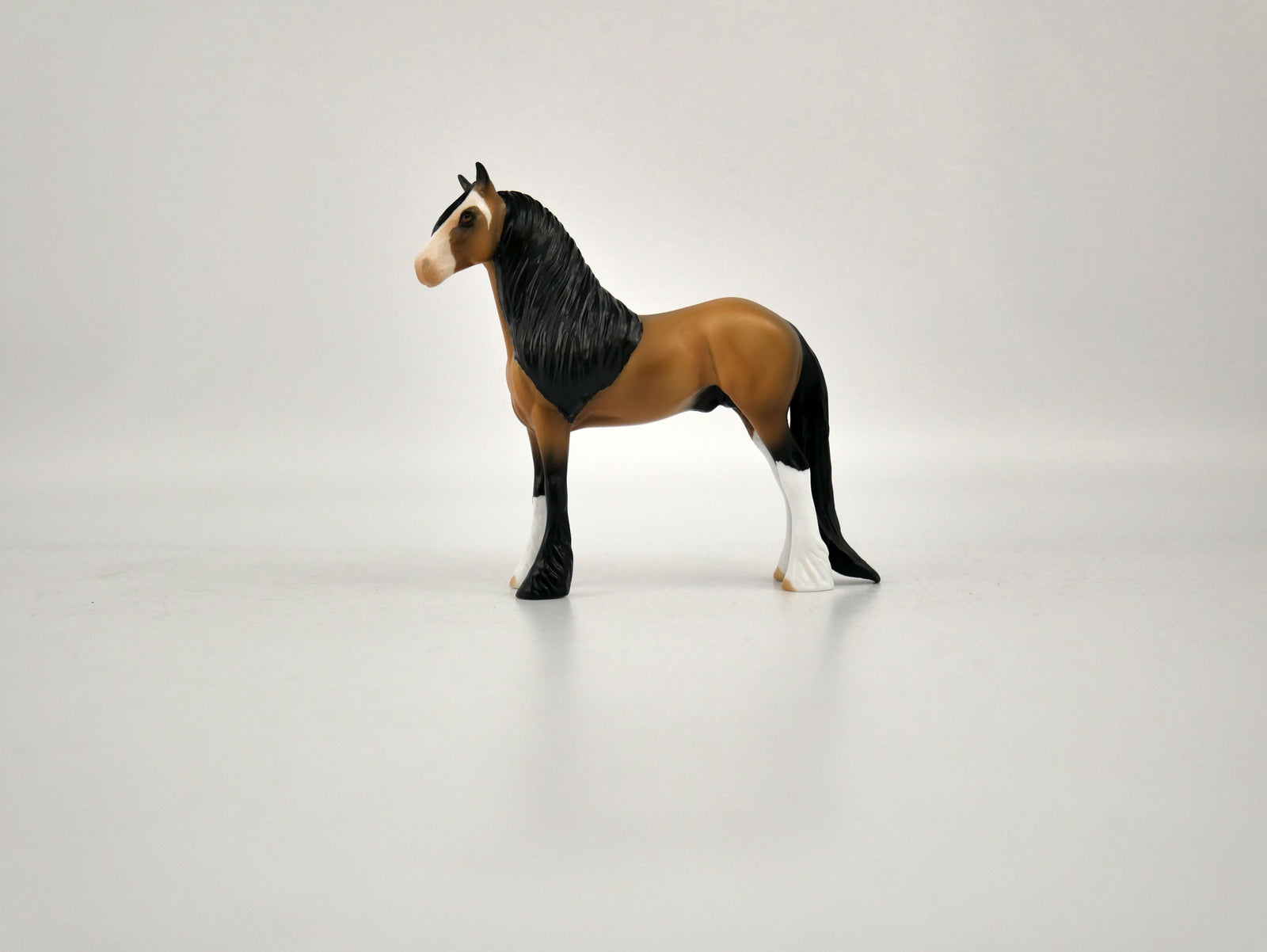 What is inside the Box> D'oro 12/20