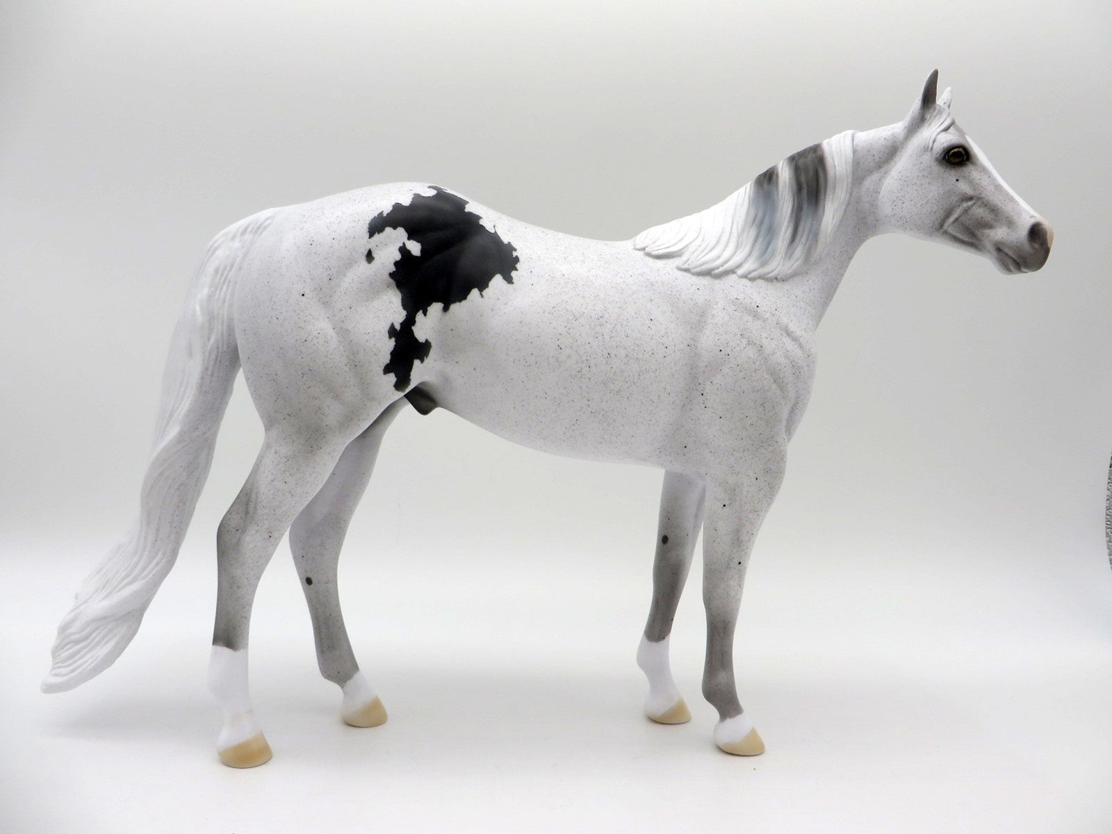 Dahlia-OOAK Pinto ISH SHCF 2021