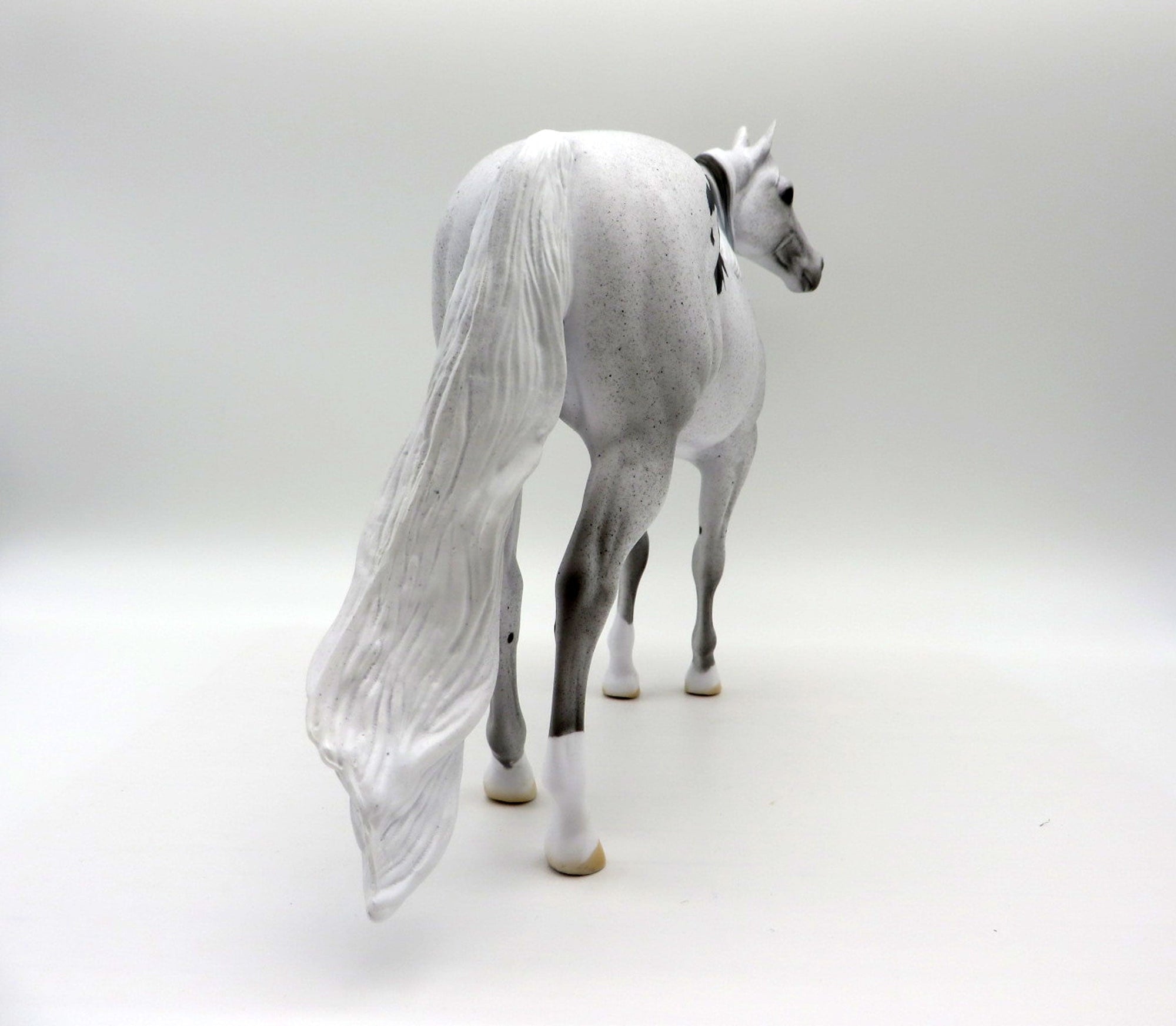 Dahlia-OOAK Pinto ISH SHCF 2021