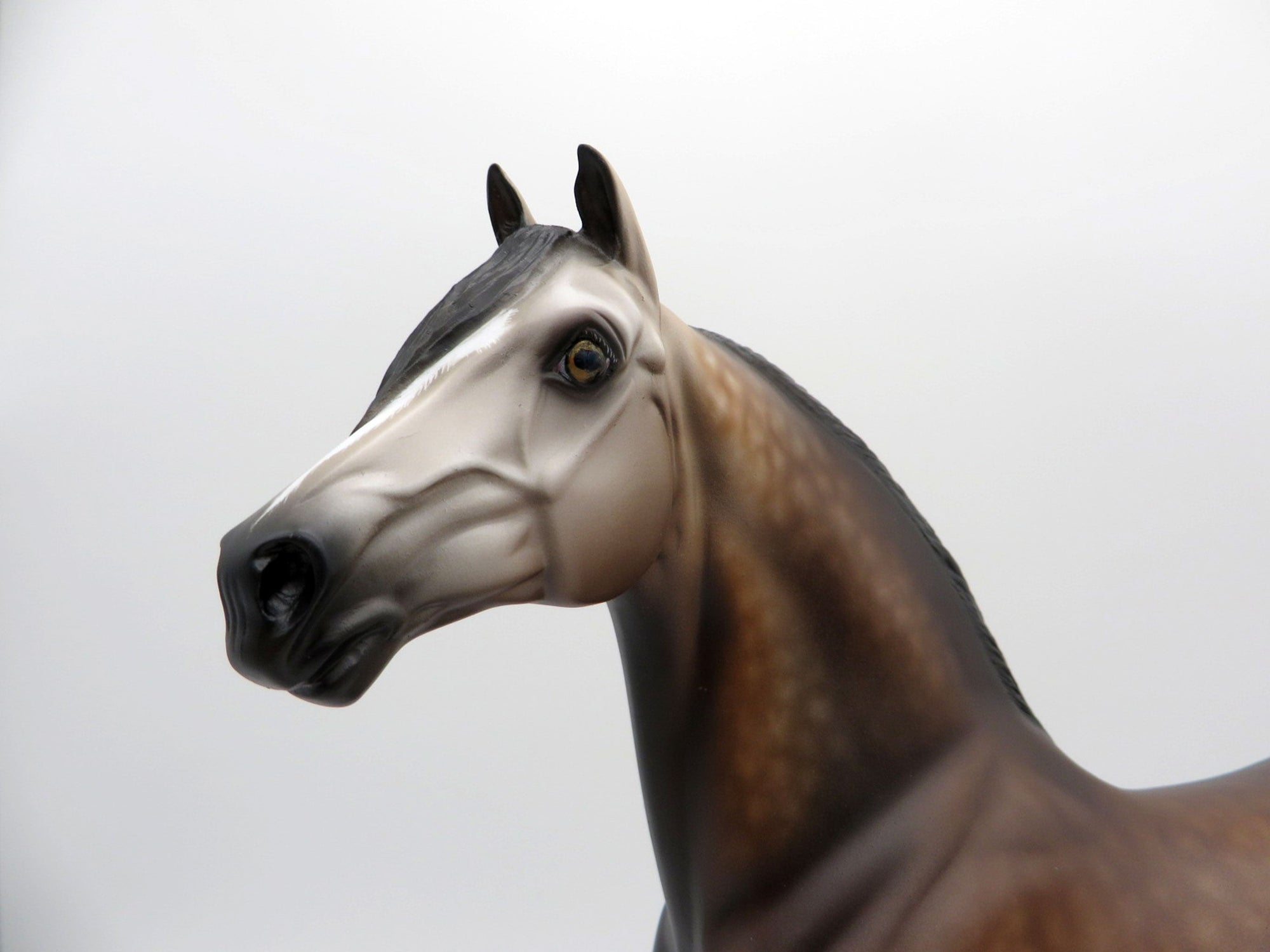 Daire-OOAK Morgan By Sheryl Leisure 3/29/21