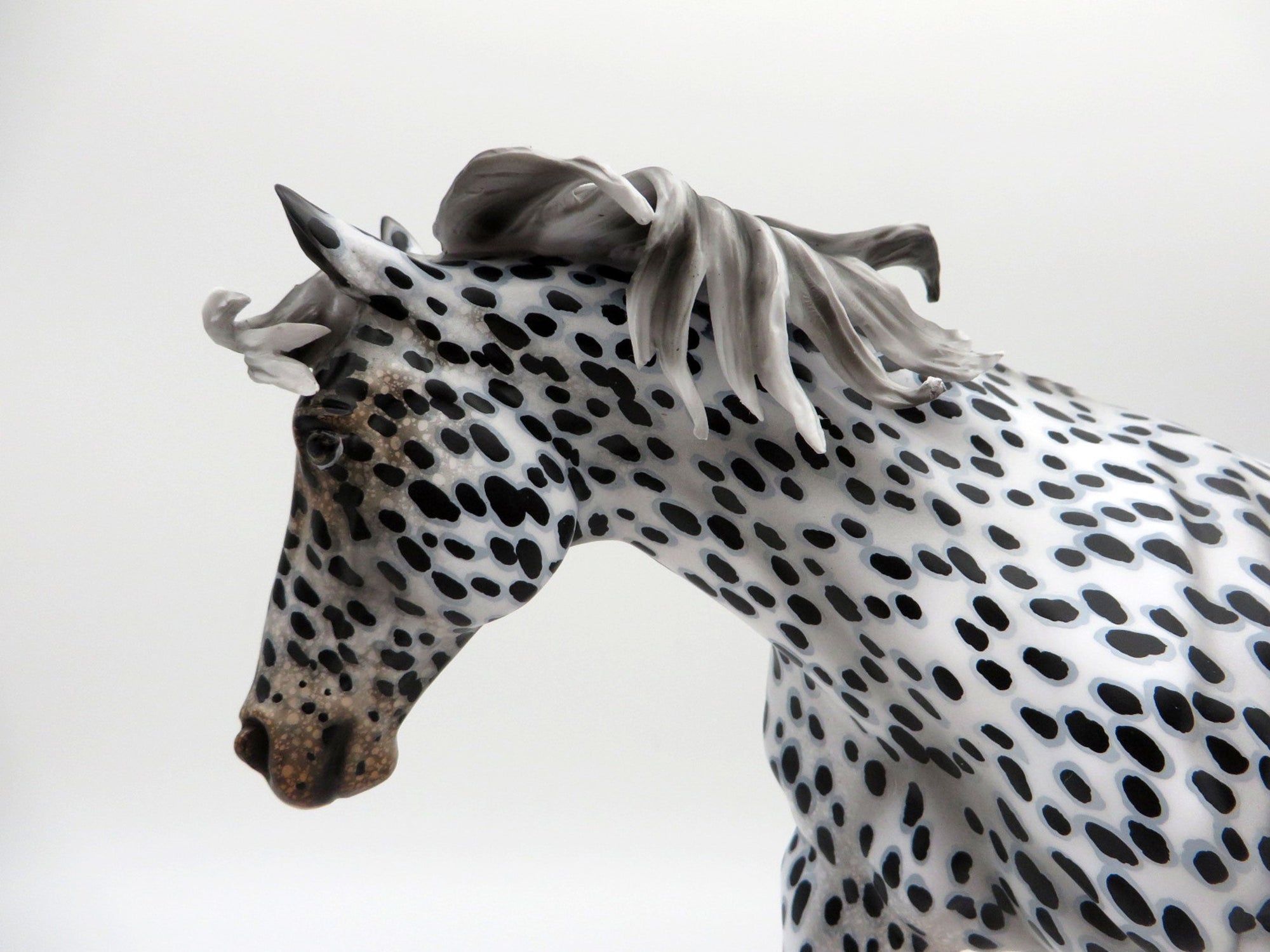 Damien-OOAK Loud Appaloosa Running Stock Horse Painted By Audrey Dixon  EQ 21