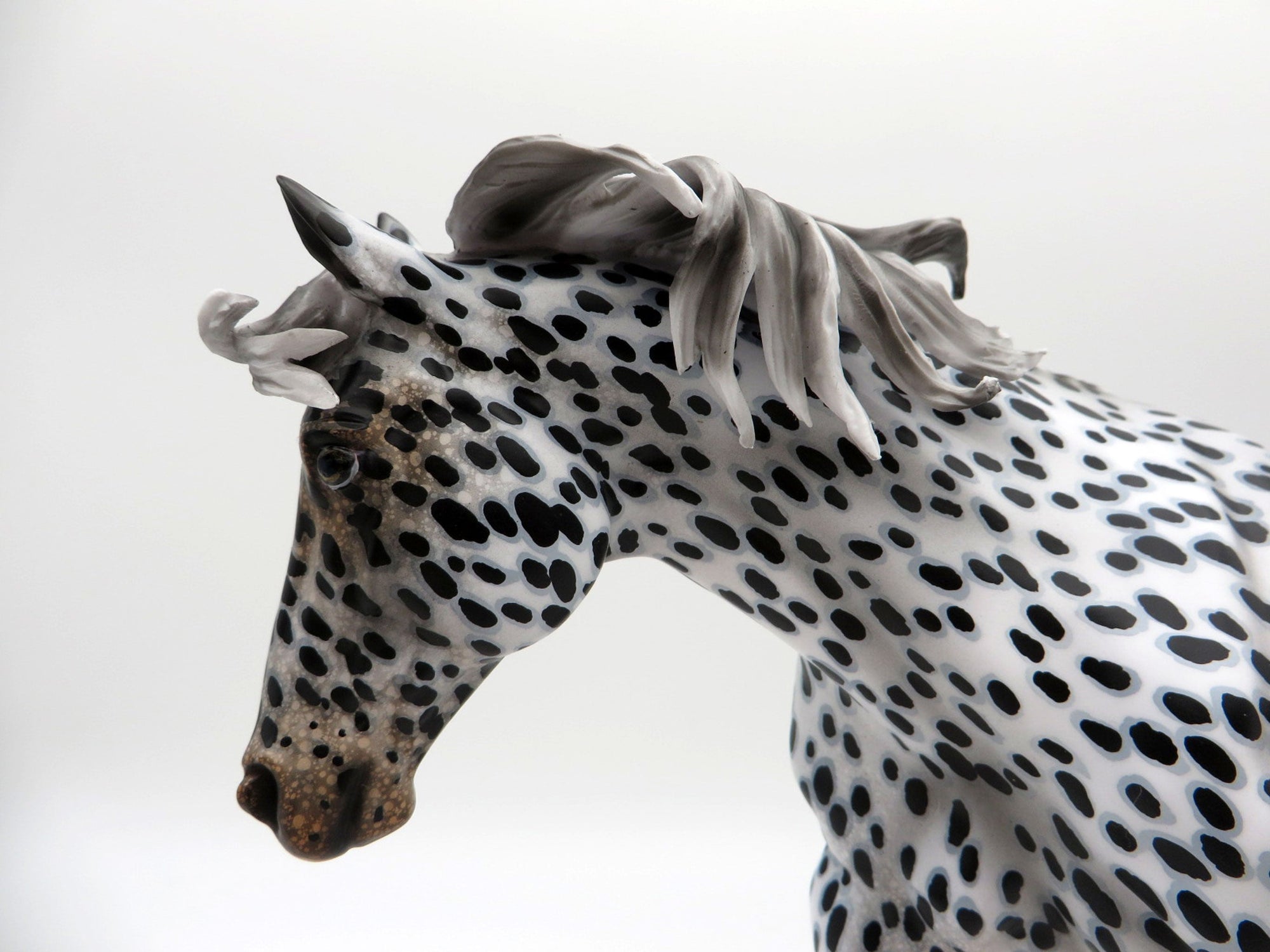 Damien-OOAK Loud Appaloosa Running Stock Horse Painted By Audrey Dixon  EQ 21
