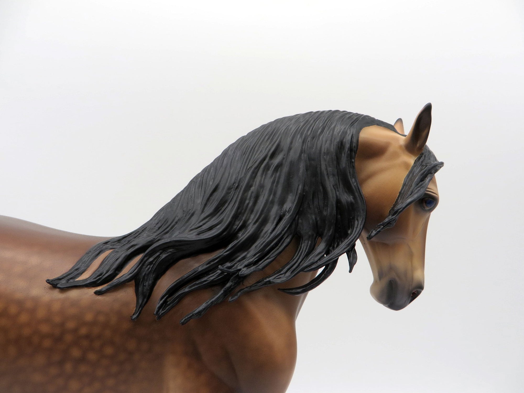 Danube-OOAK Andalusian By Caroline Boydston 4/5/21