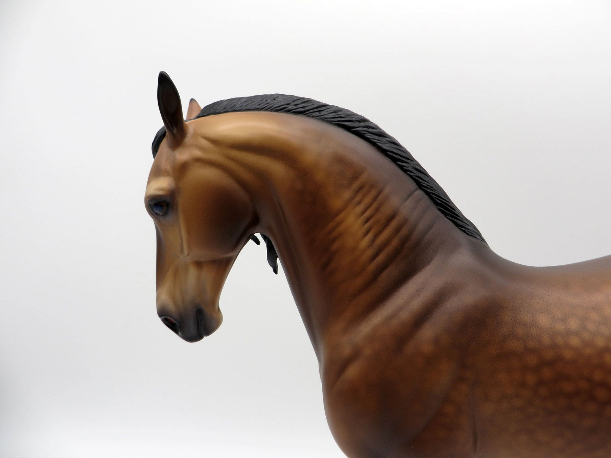 Danube-OOAK Andalusian By Caroline Boydston 4/5/21