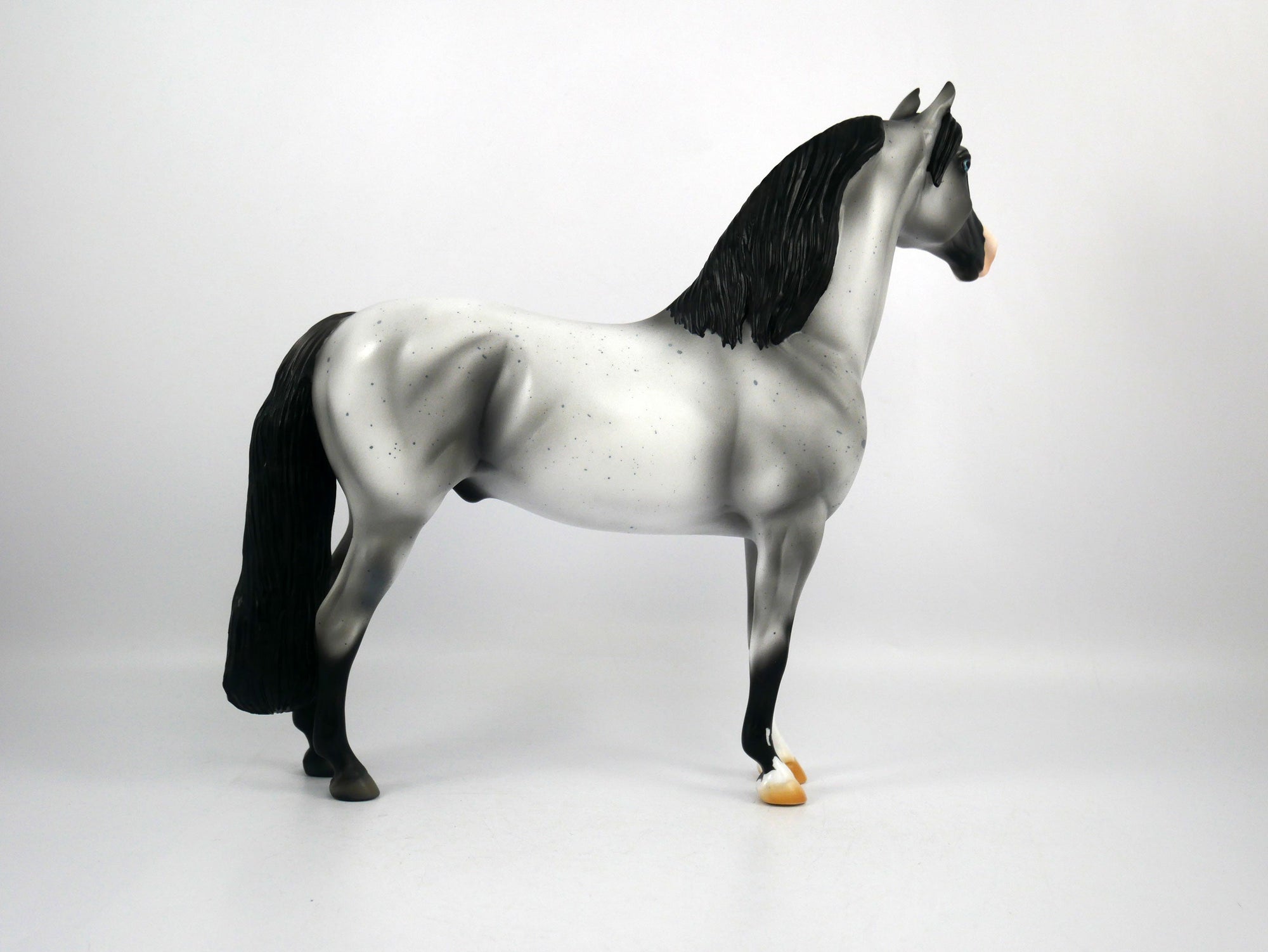 Dapper-OOAK Roan Morgan Model Horse 1/20/21