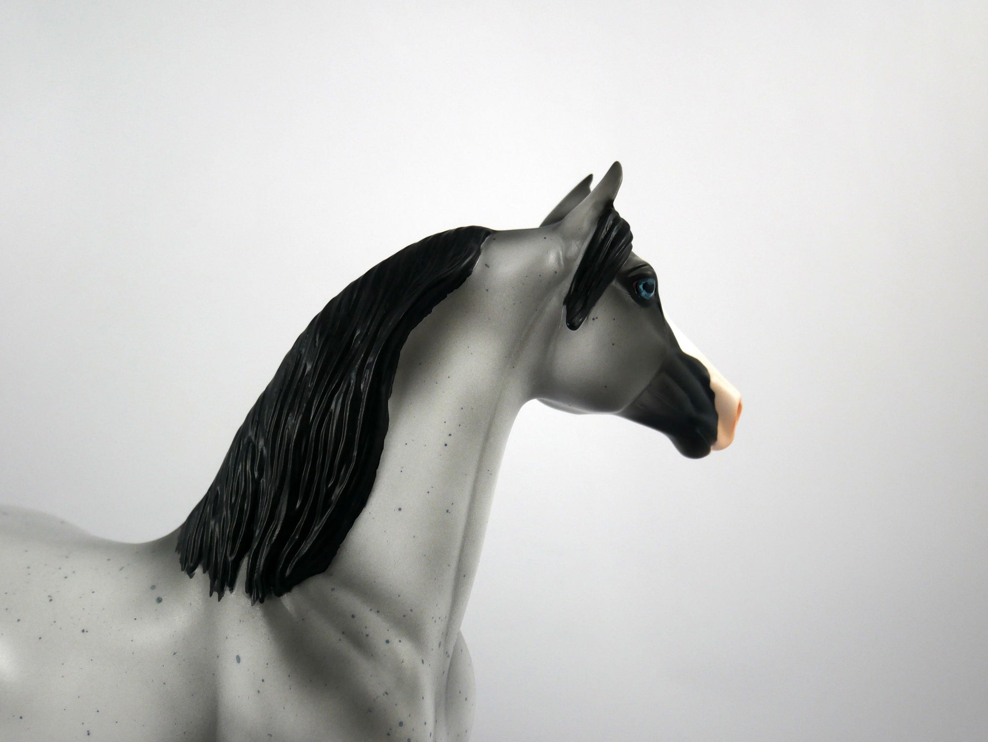 Dapper-OOAK Roan Morgan Model Horse 1/20/21