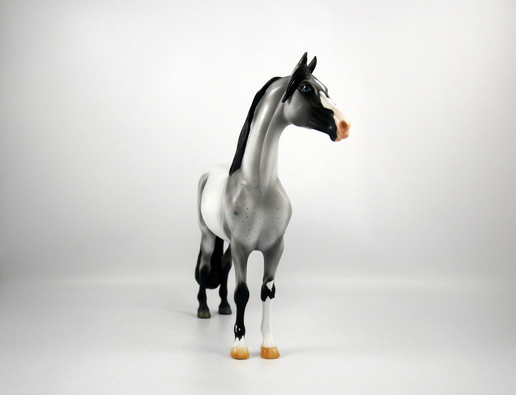 Dapper-OOAK Roan Morgan Model Horse 1/20/21