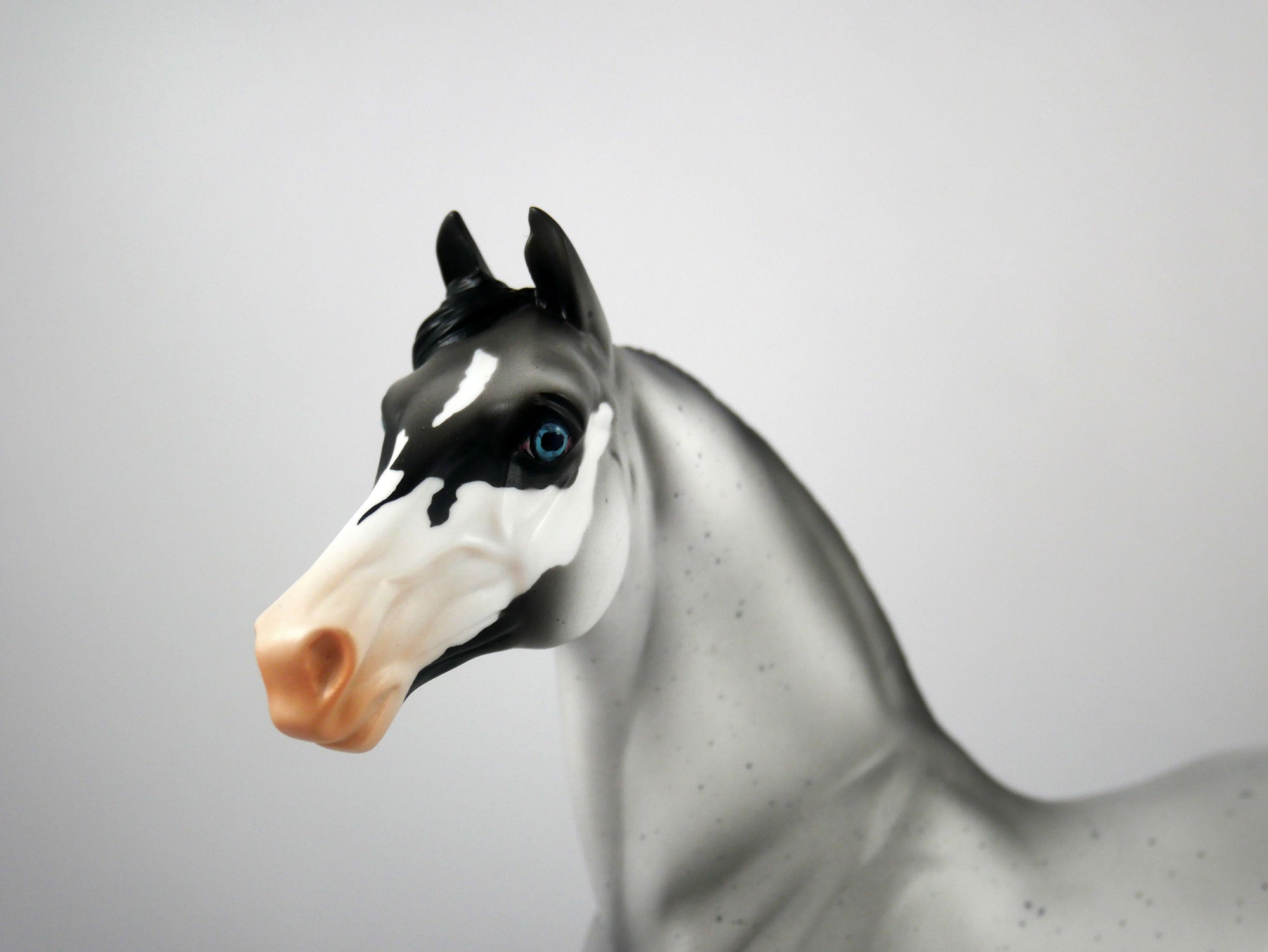 Dapper-OOAK Roan Morgan Model Horse 1/20/21