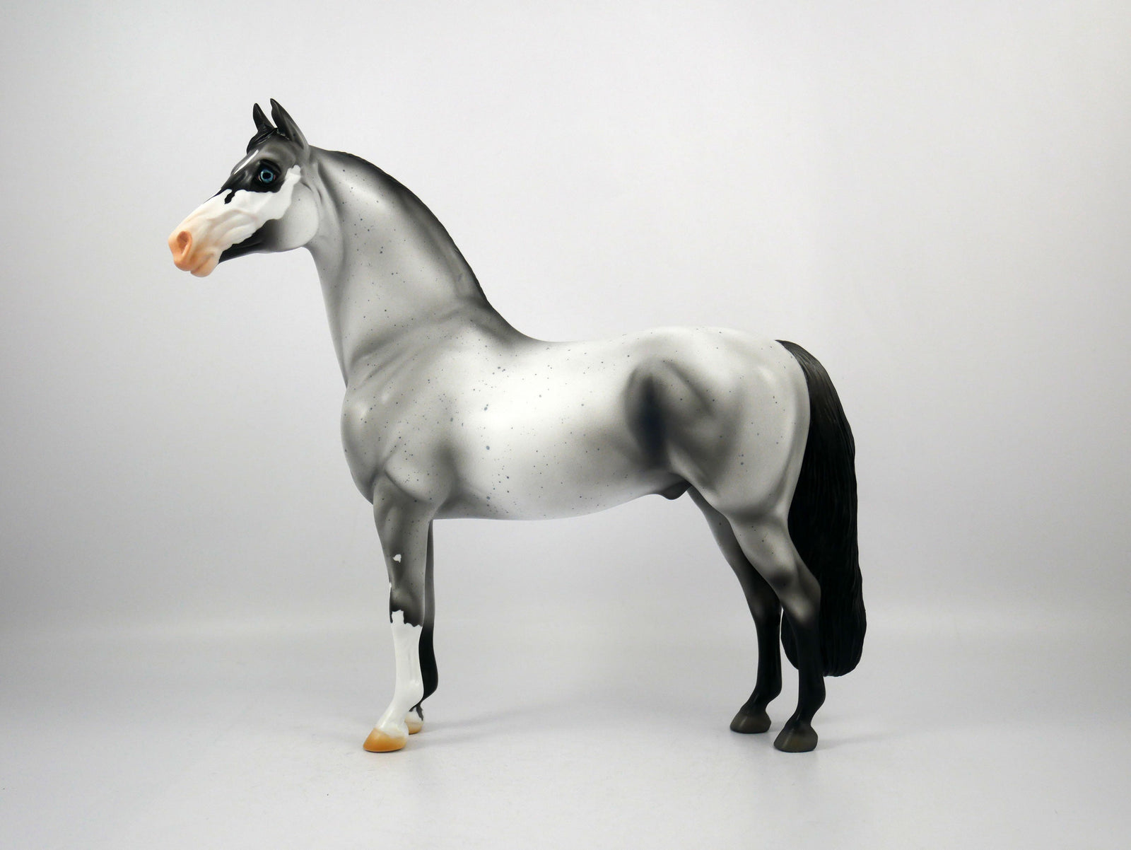 Dapper-OOAK Roan Morgan Model Horse 1/20/21