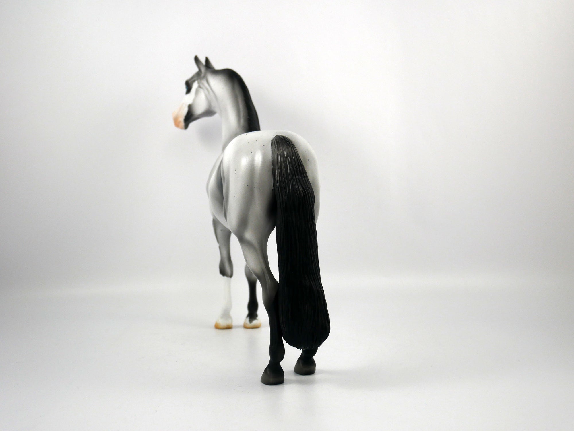 Dapper-OOAK Roan Morgan Model Horse 1/20/21