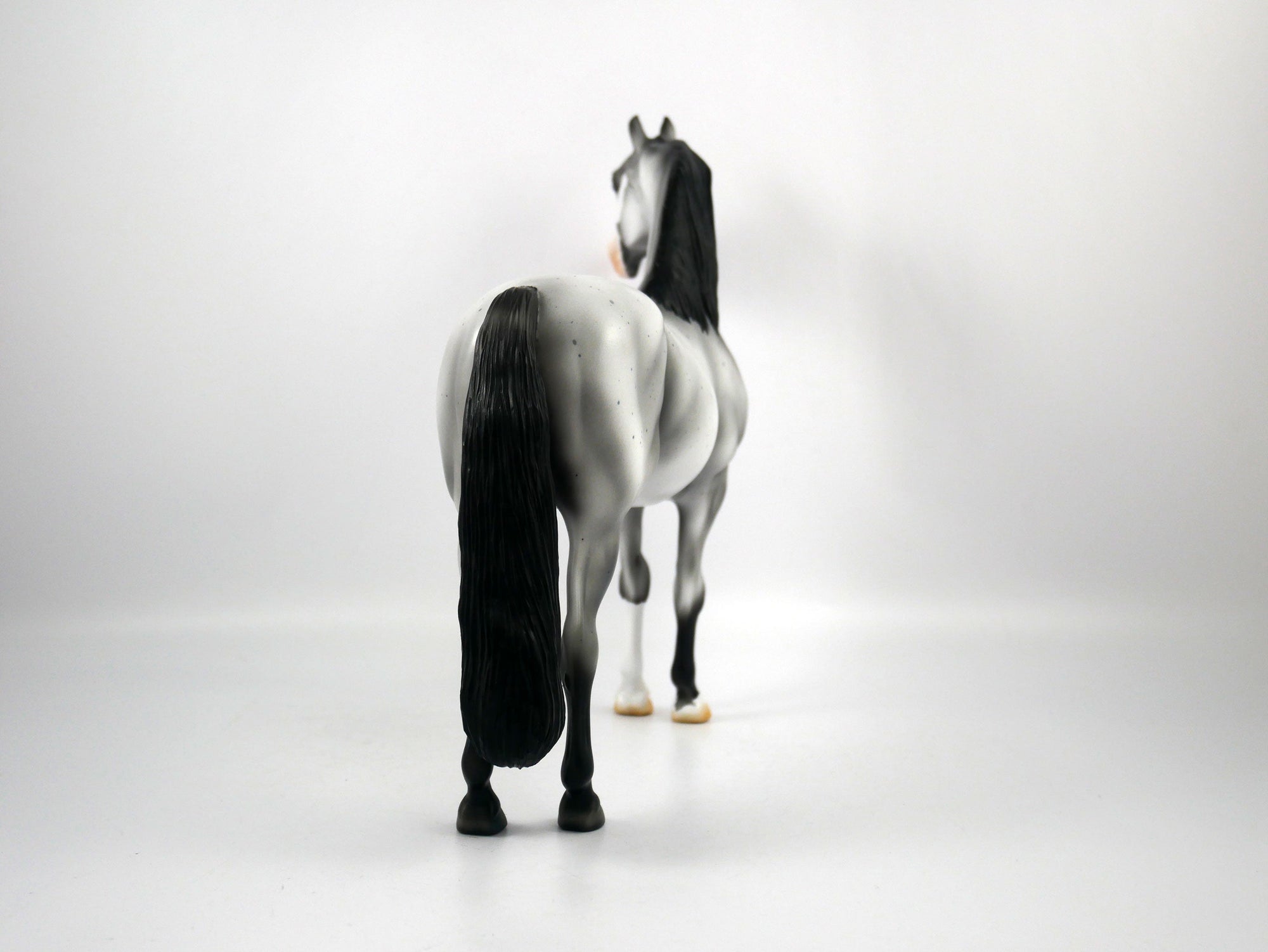 Dapper-OOAK Roan Morgan Model Horse 1/20/21