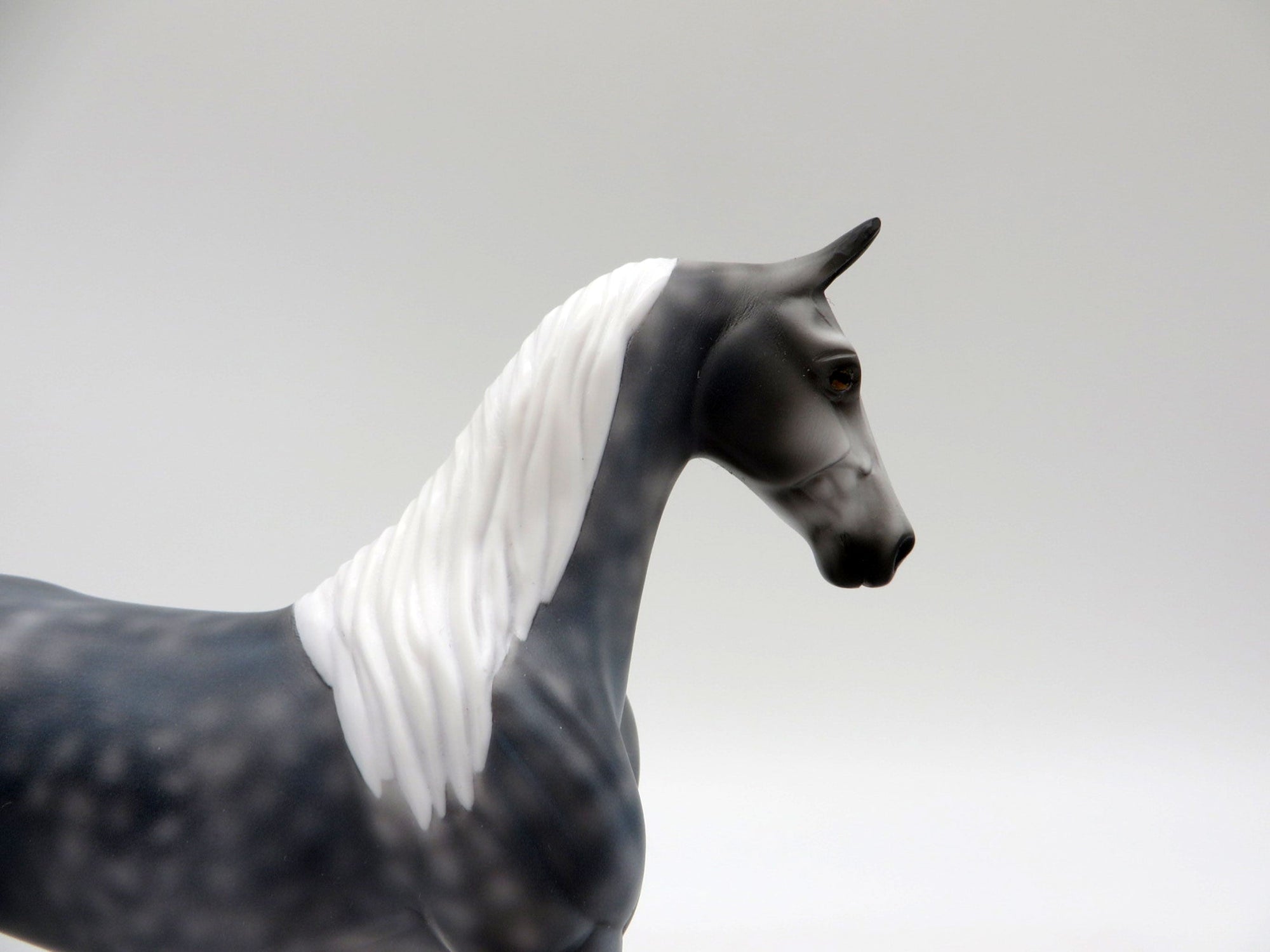 Dare-OOAK Dapple Grey Saddlebred Pebbles 5/21/21