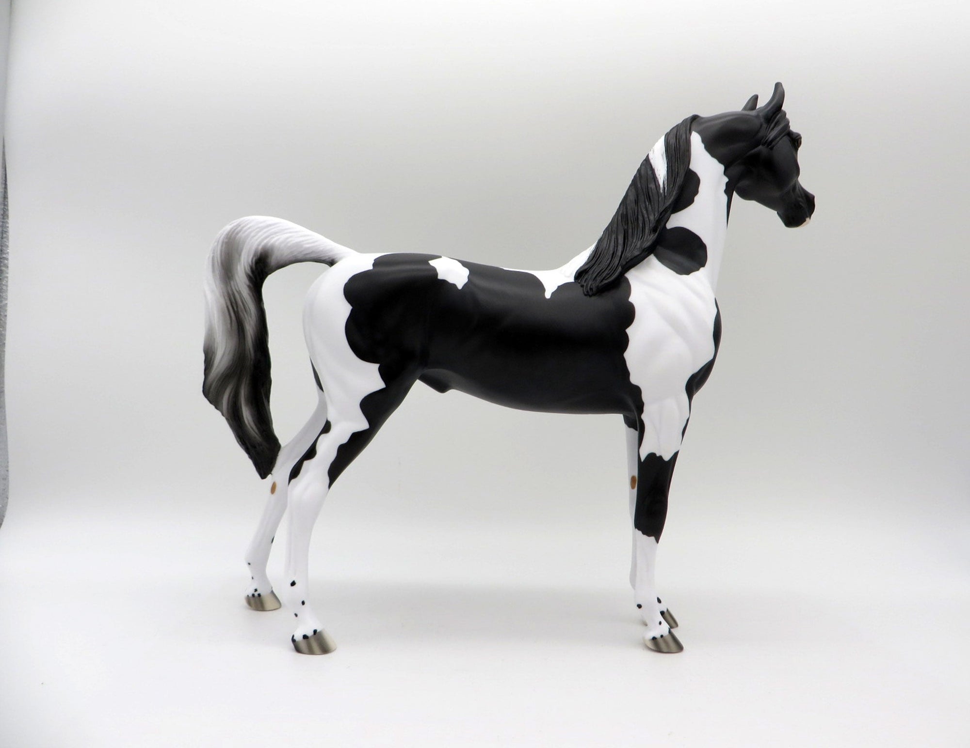 Dark Knight-OOAK Black Pinto Arabian 5/14/21