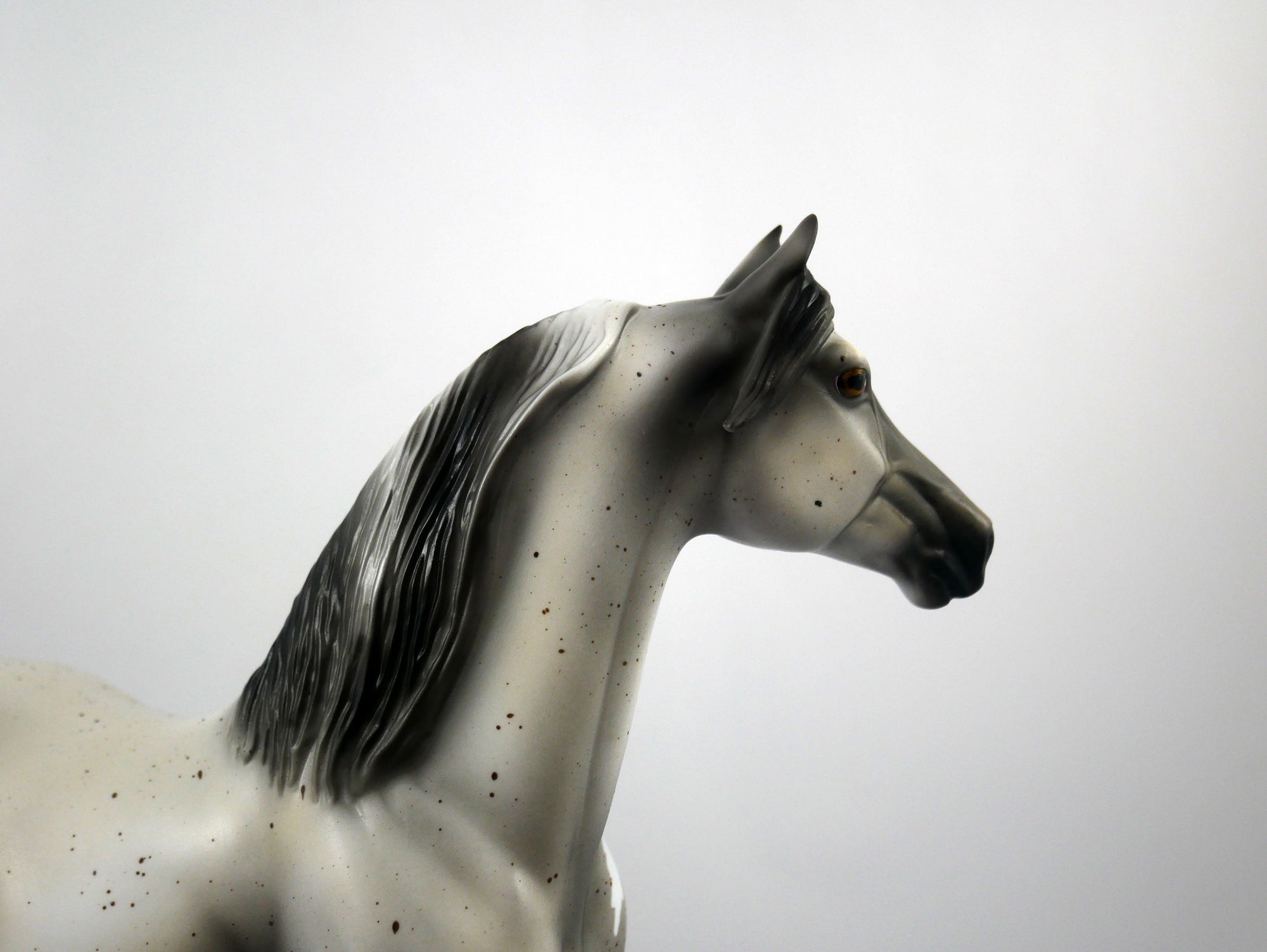 Darling-OOAK Grey Paint Morgan Model Horse 1/20/21