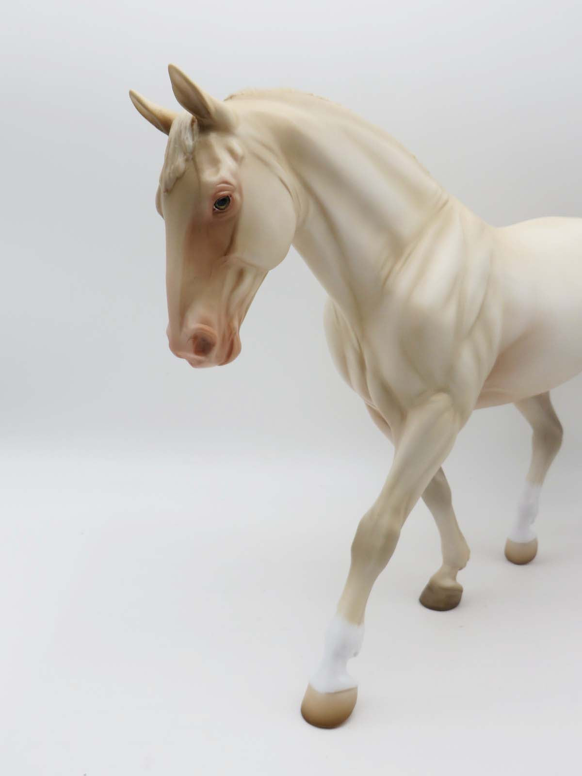 Darwin - OOAK - Cremello Irish Draught By Angela Marleau - P&amp;C 23