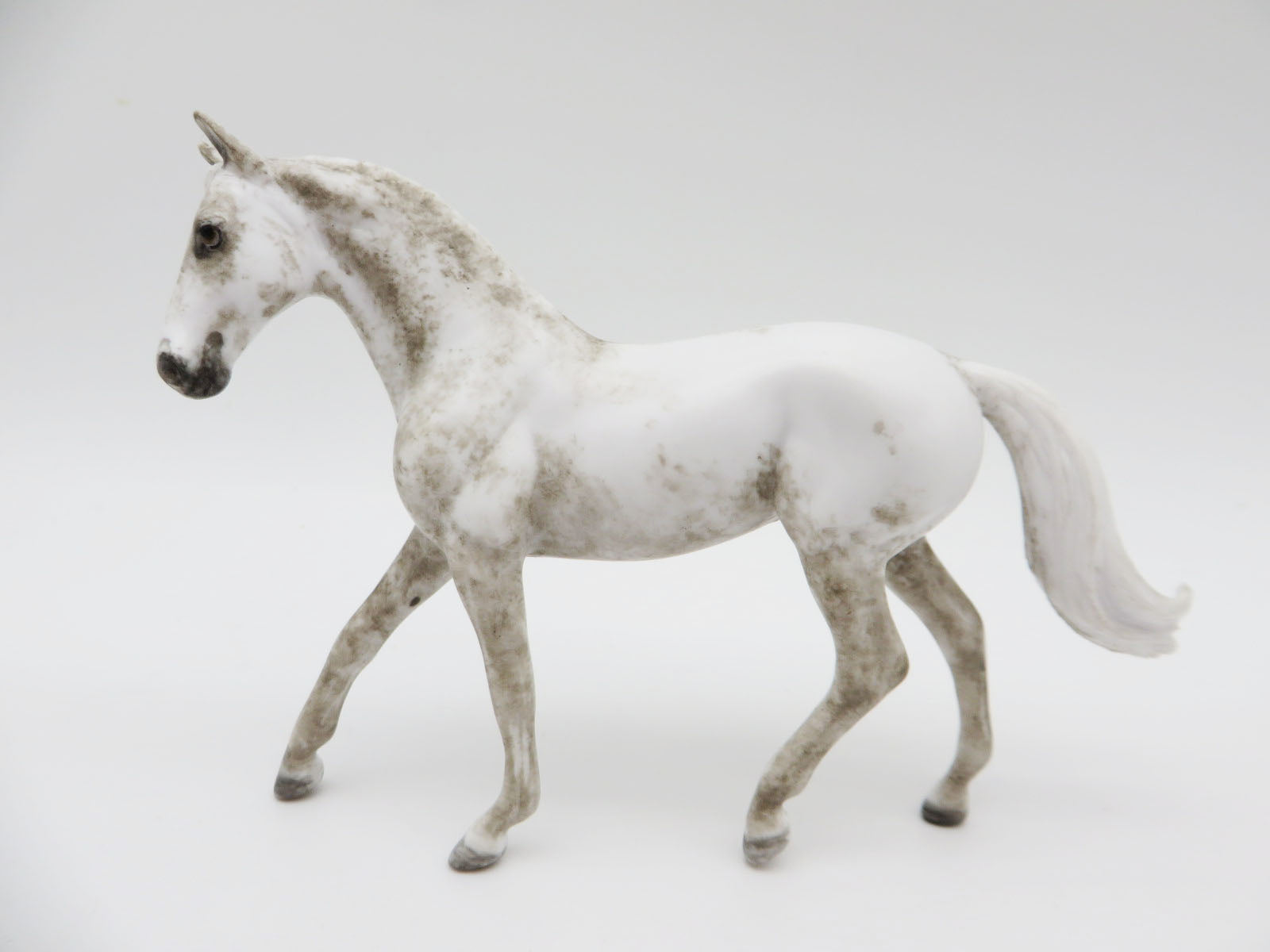 Daybreak - OOAK - Grey Sabino Appaloosa Warmblood Mare By Andrea Thomason - Christmas Tails 2022 - CT22