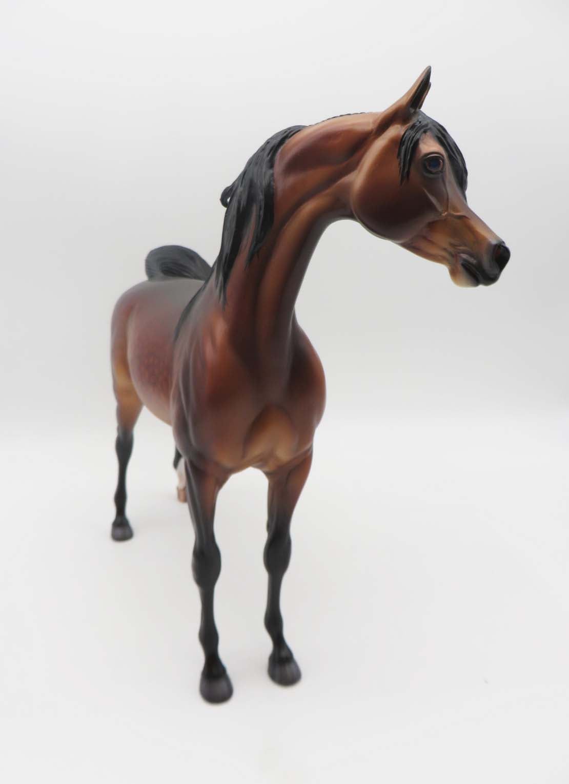 Deacon - OOAK - Dappled Bay Arabian By Caroline Boydston BEST OFFER 3/13/23