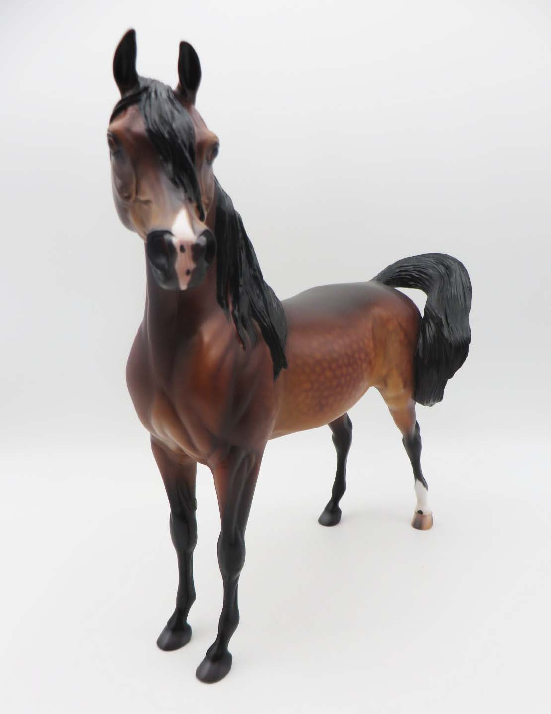 Deacon - OOAK - Dappled Bay Arabian By Caroline Boydston BEST OFFER 3/13/23