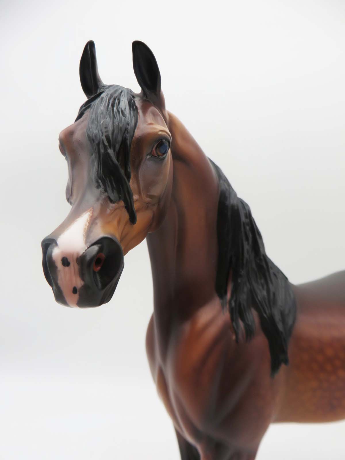 Deacon - OOAK - Dappled Bay Arabian By Caroline Boydston BEST OFFER 3/13/23