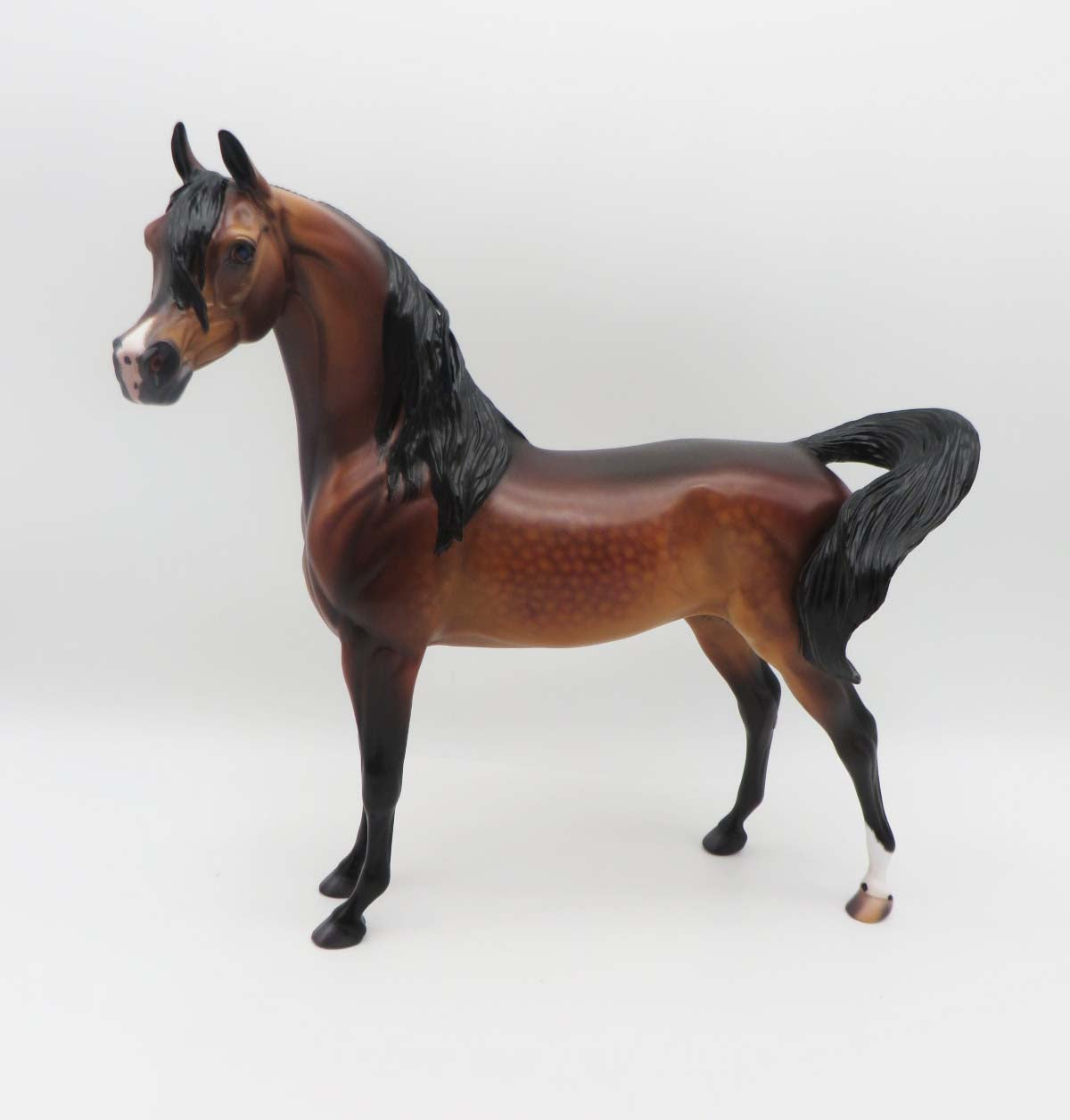 Deacon - OOAK - Dappled Bay Arabian By Caroline Boydston BEST OFFER 3/13/23